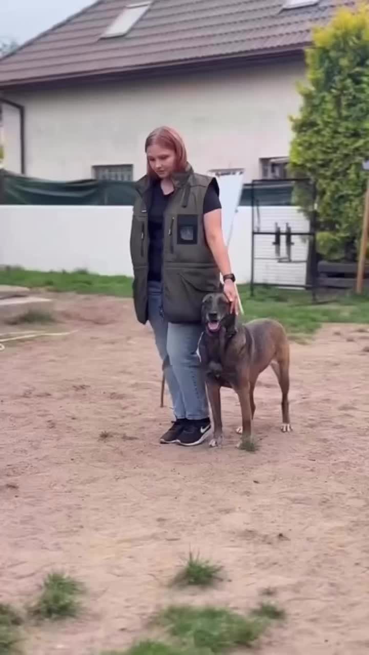 @k9spartan