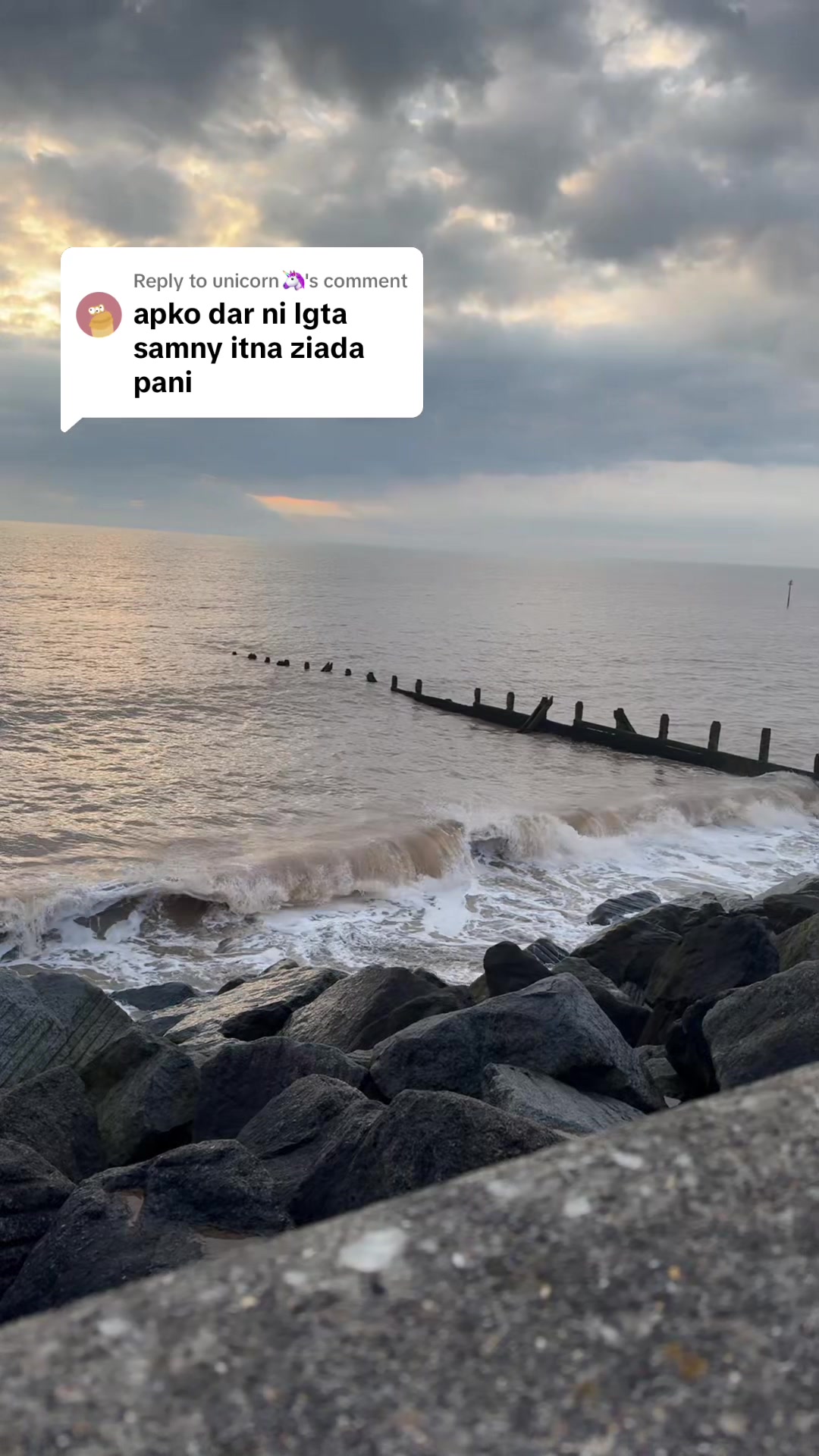 @MehreenHassan 🇬🇧🇵🇰