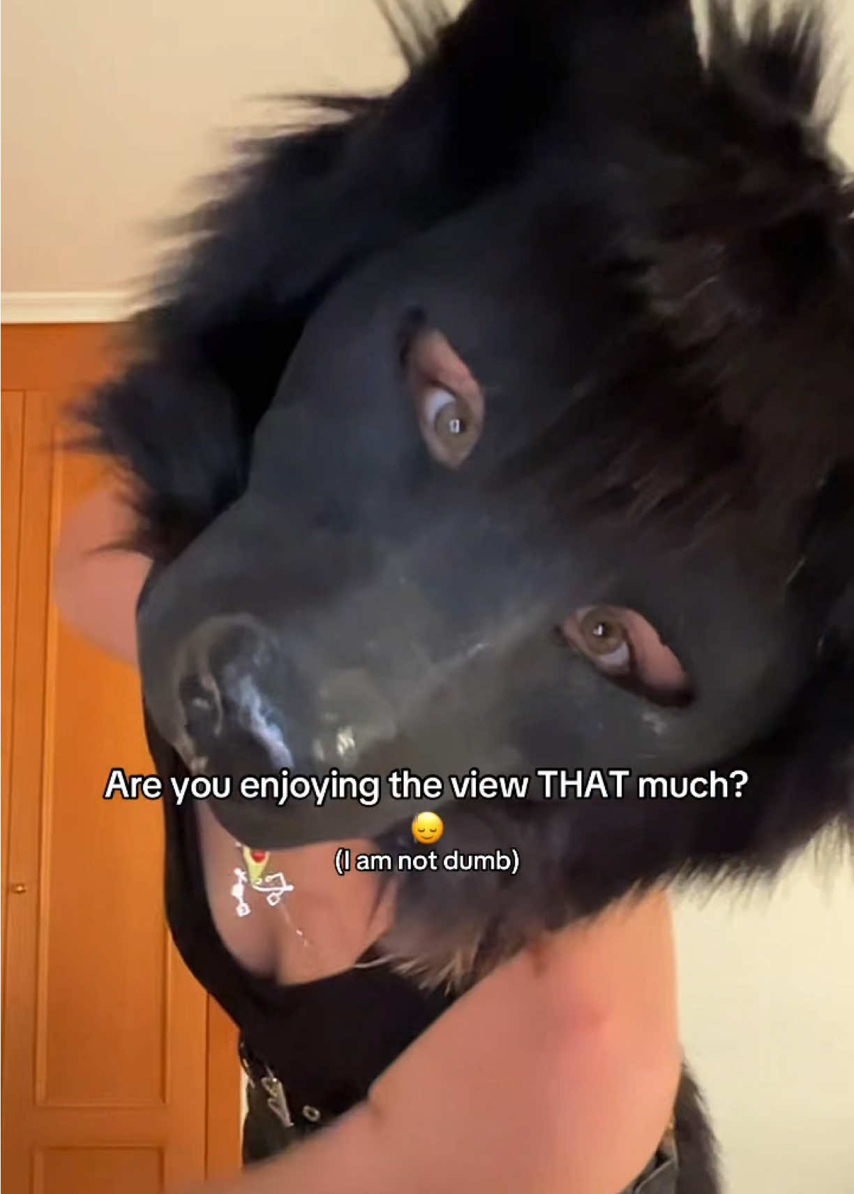 @✮𓅓𝓒𝓸𝓻𝓿𝓾𝓼𓄿✮