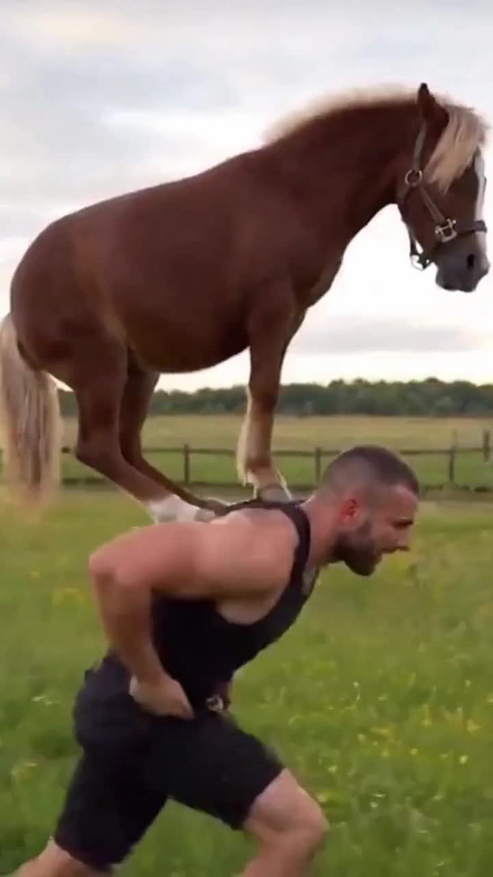 @VibeSnap47