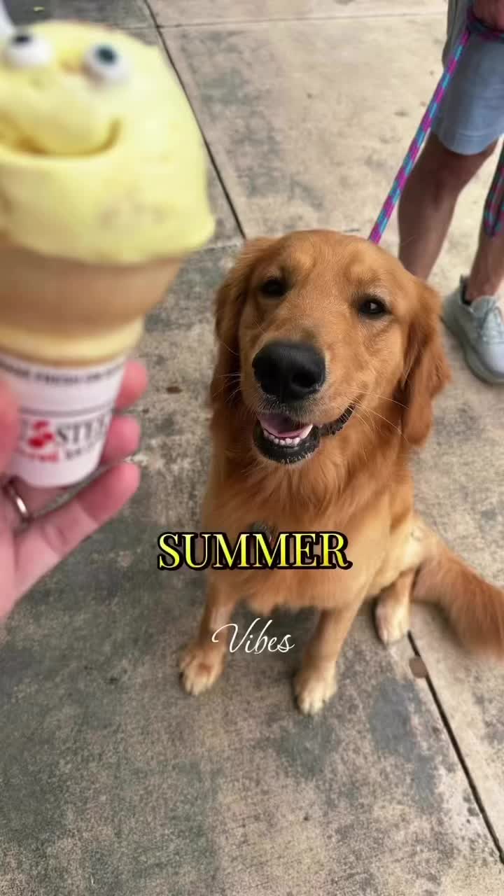 @Charlie the Golden