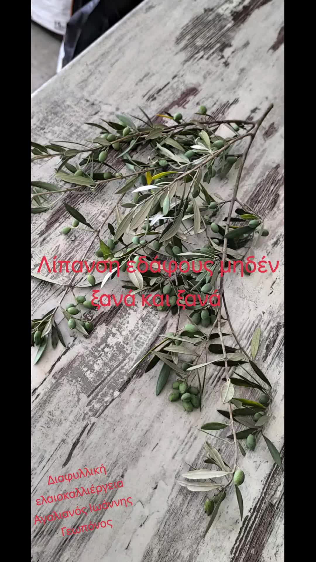 @&Alpha;&gamma;&alpha;&lambda;&iota;&alpha;&nu;ό&sigmaf; &Iota;&omega;ά&nu;&nu;&eta;&sigmaf; &Gamma;&epsilon;&omega;&pi;ό&nu;&omicron;&sigmaf;
