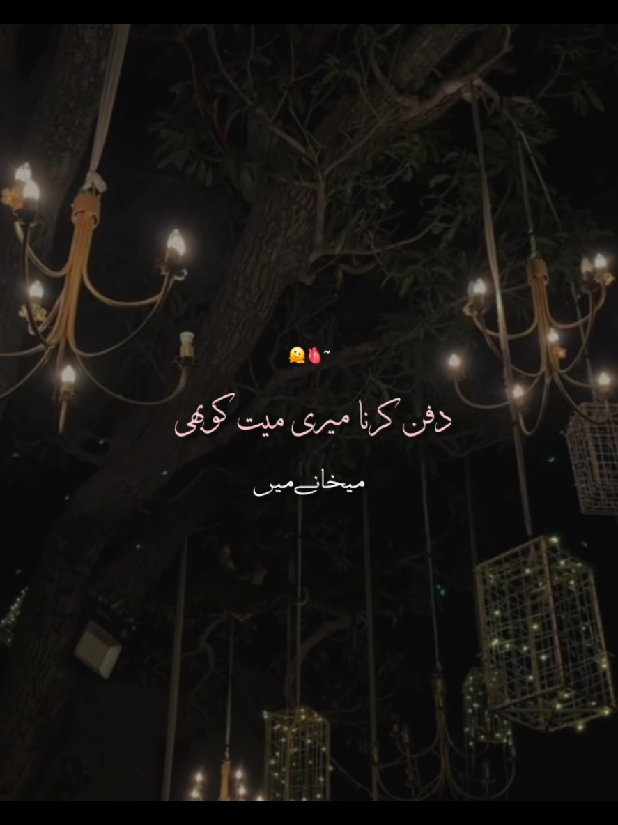 @꧁༺𝙉𝙤𝙩 𝙮𝙤𝙪𝙧 𝘼𝙨𝙖𝙙༻꧂