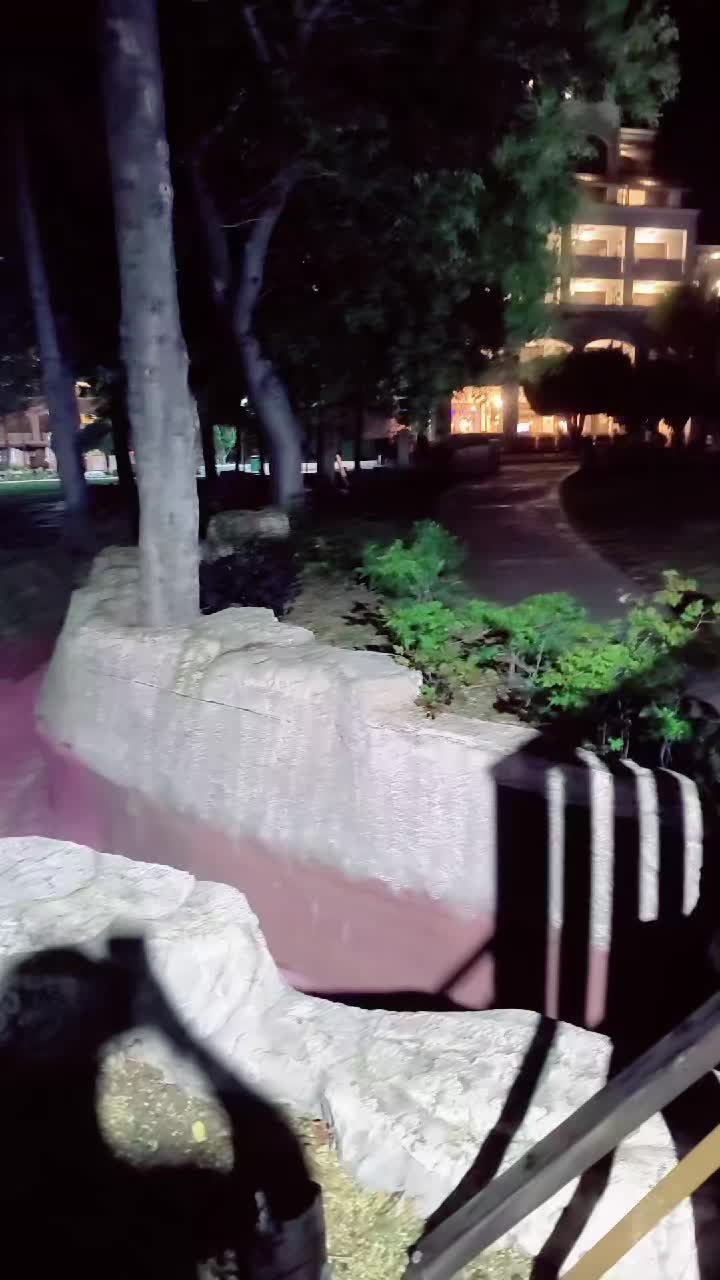 @Цвети🌹Божидар❤️Борисови♾️🔐🌍