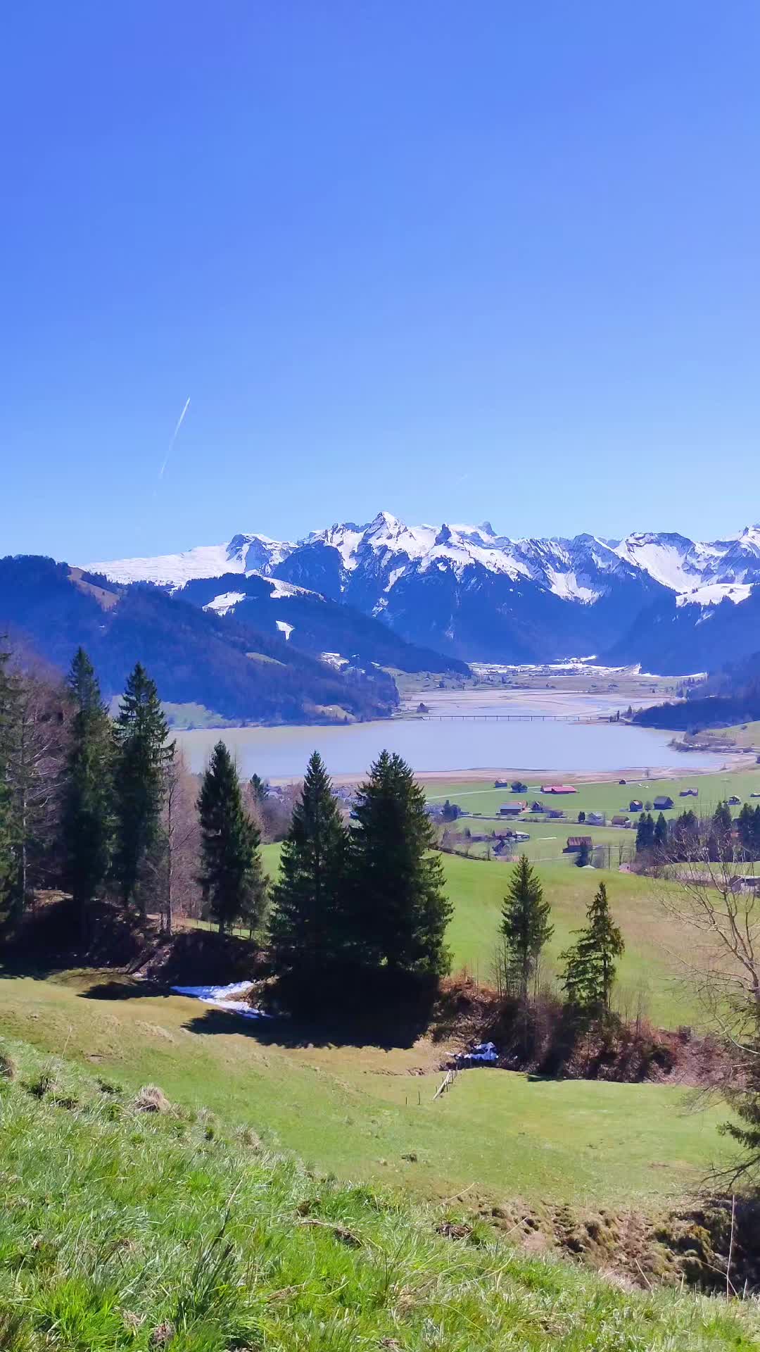 @Afro soul🇪🇹🇨🇭🇨🇭