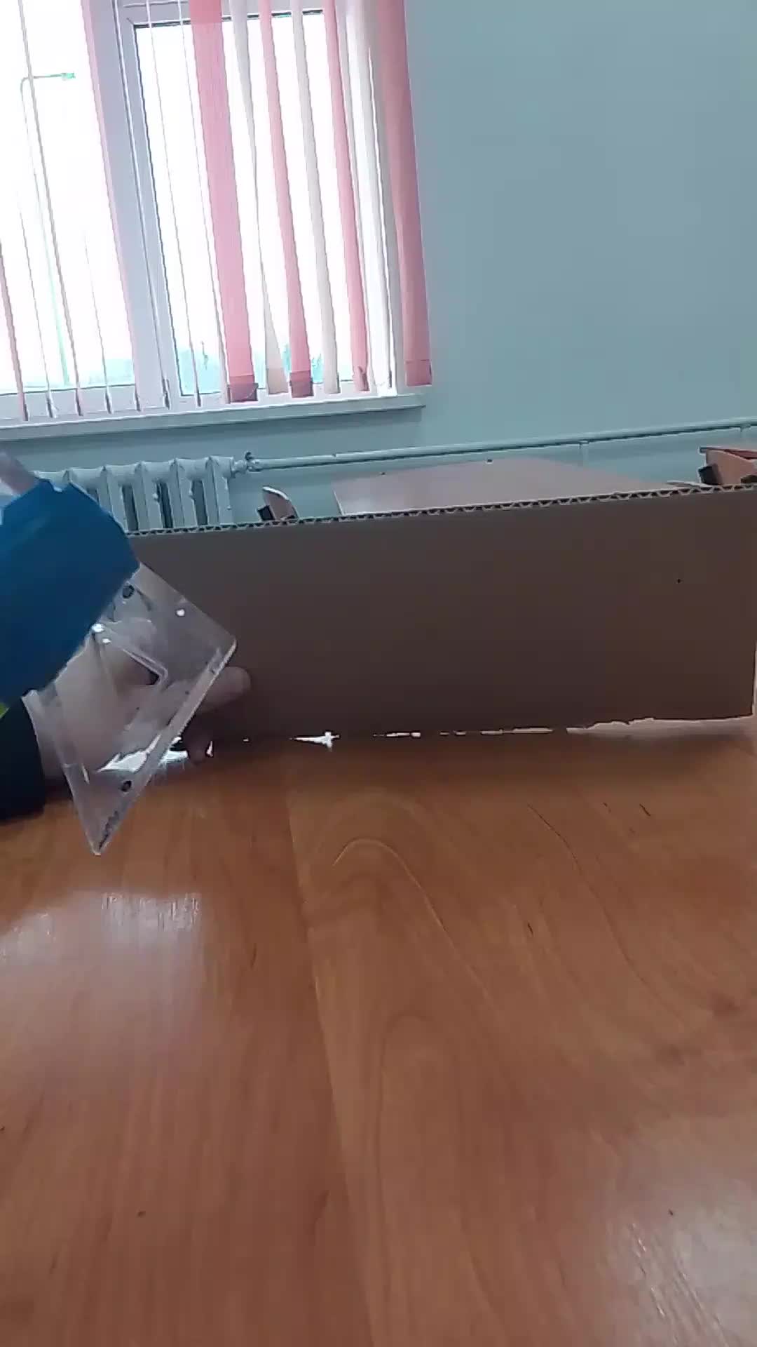 @крыска котик