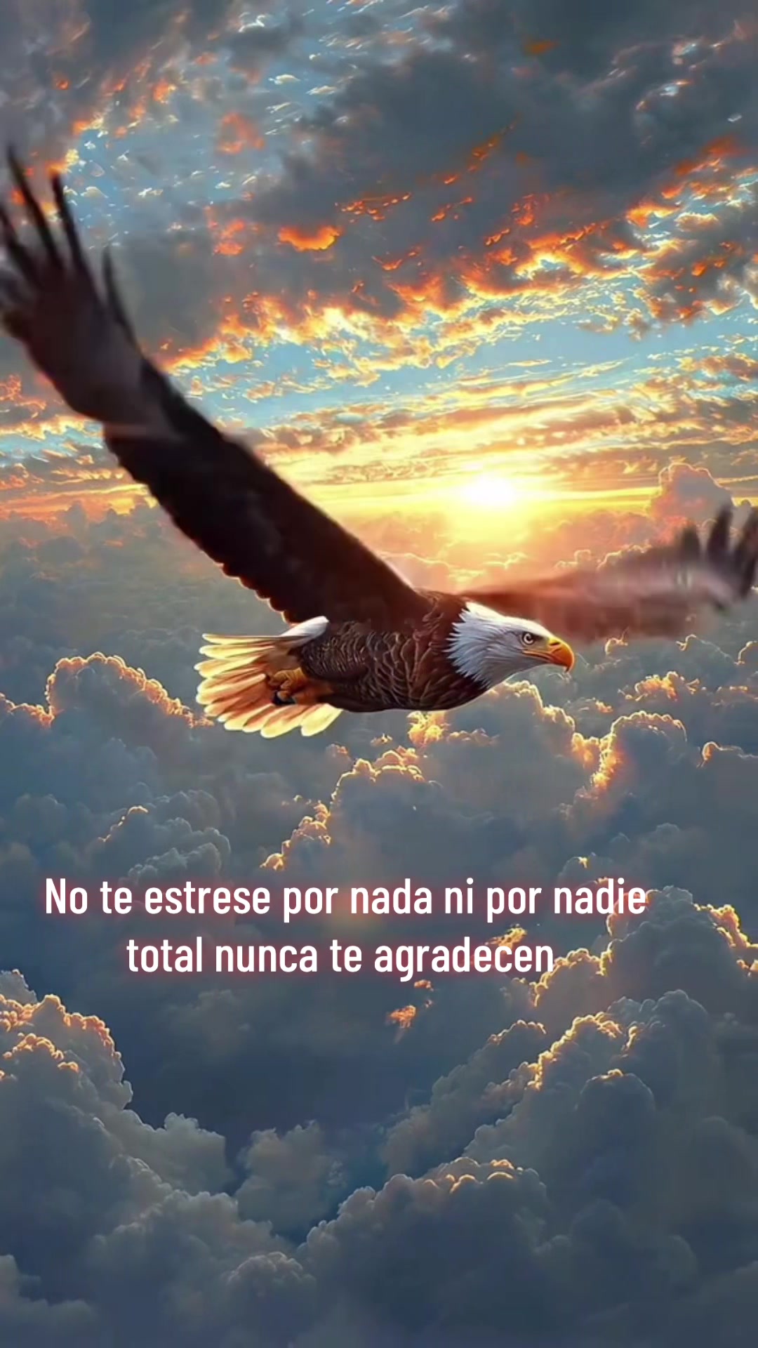 @Aliciag13