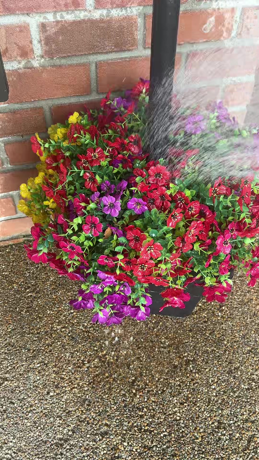 @𝘚𝘢𝘩𝘪𝘭𝘺 𝘱𝘢𝘯𝘢𝘤𝘰