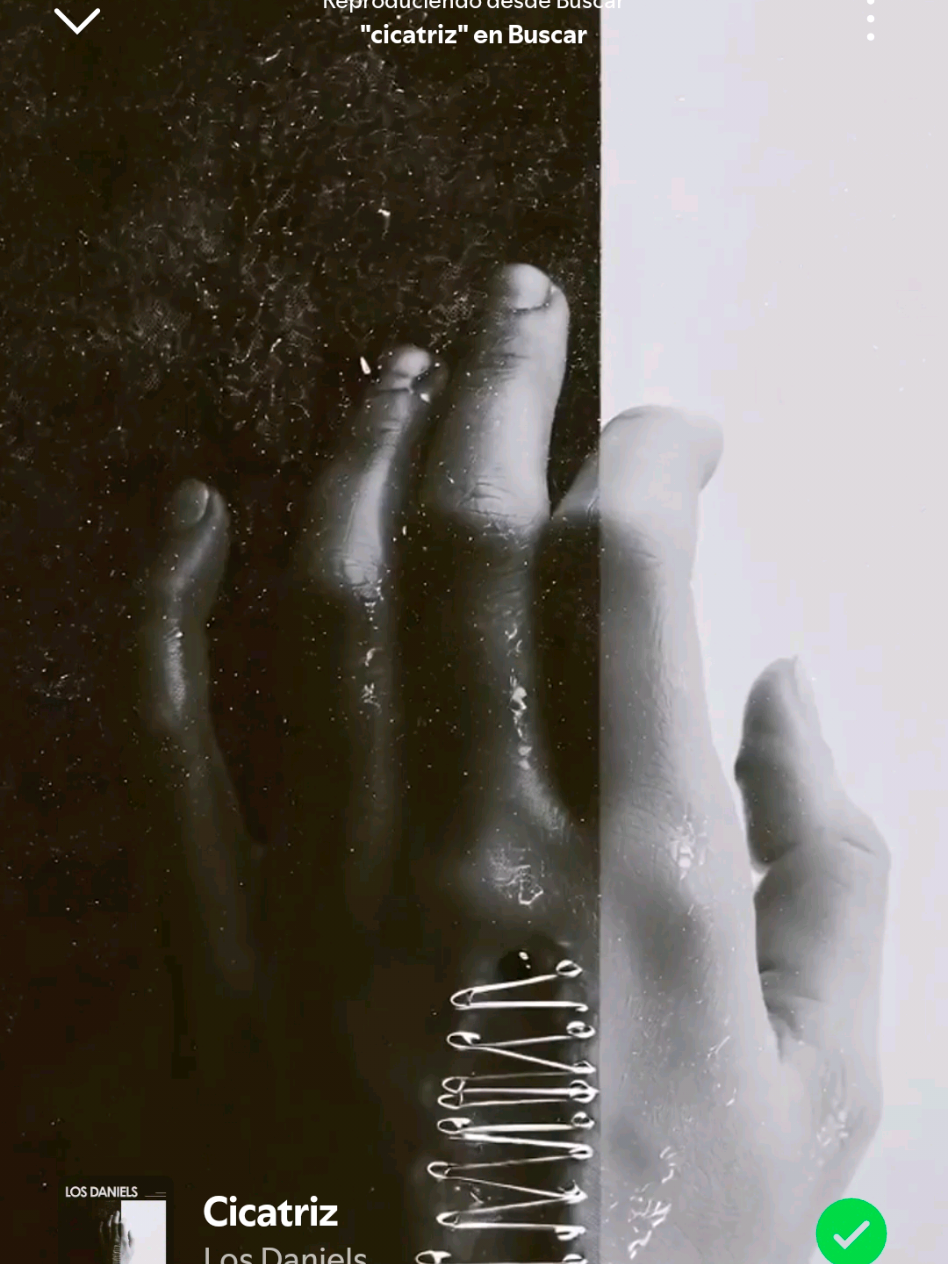 @✨ May Millán 🐼✨