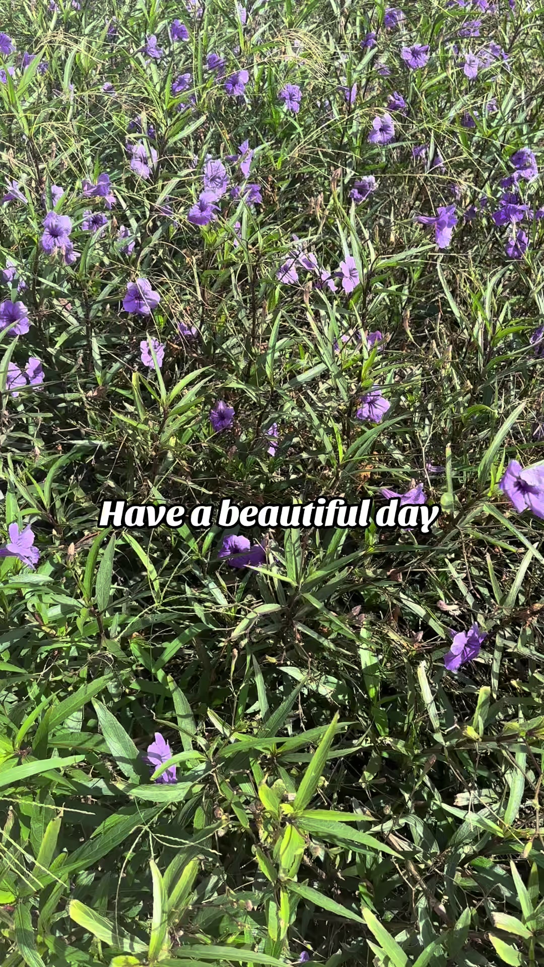 @kristushh3