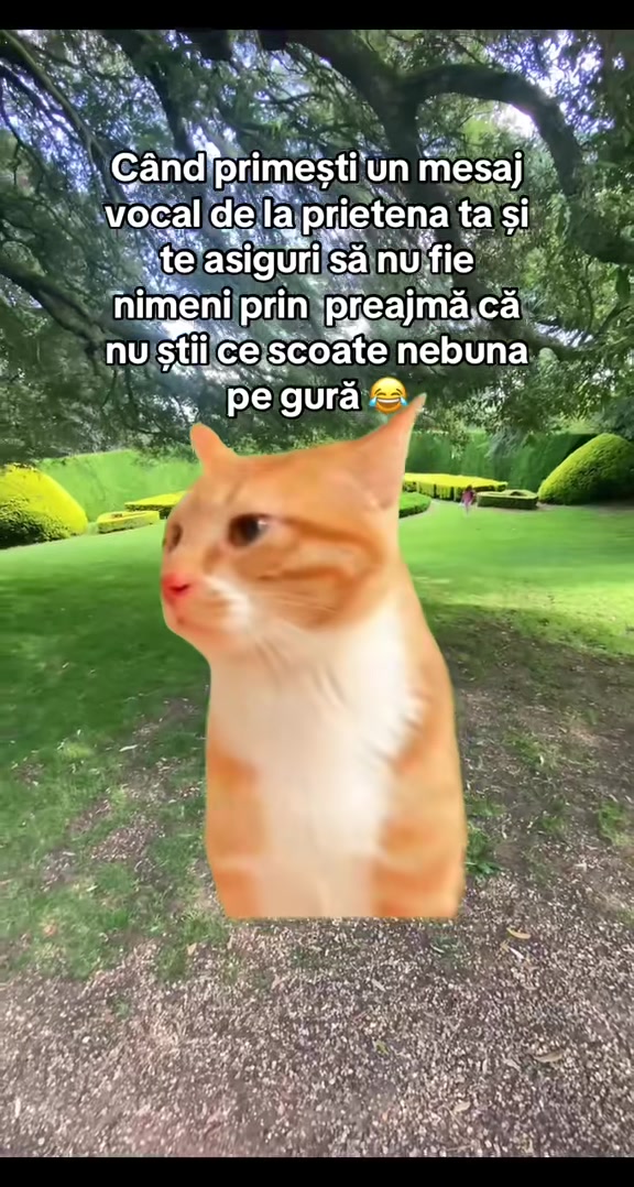 @paula.7373
