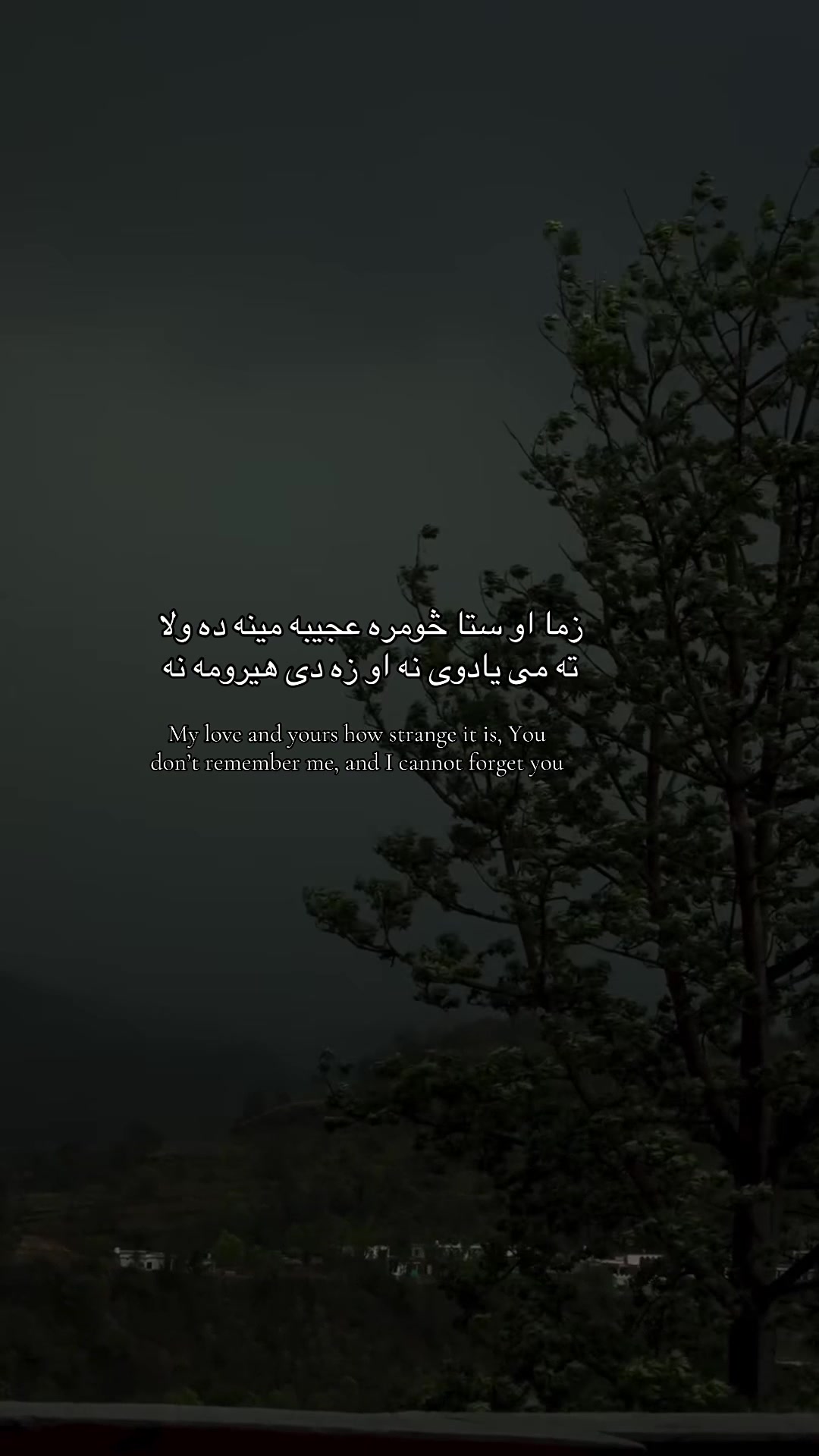 @درمــــــاَن&hearts;︎