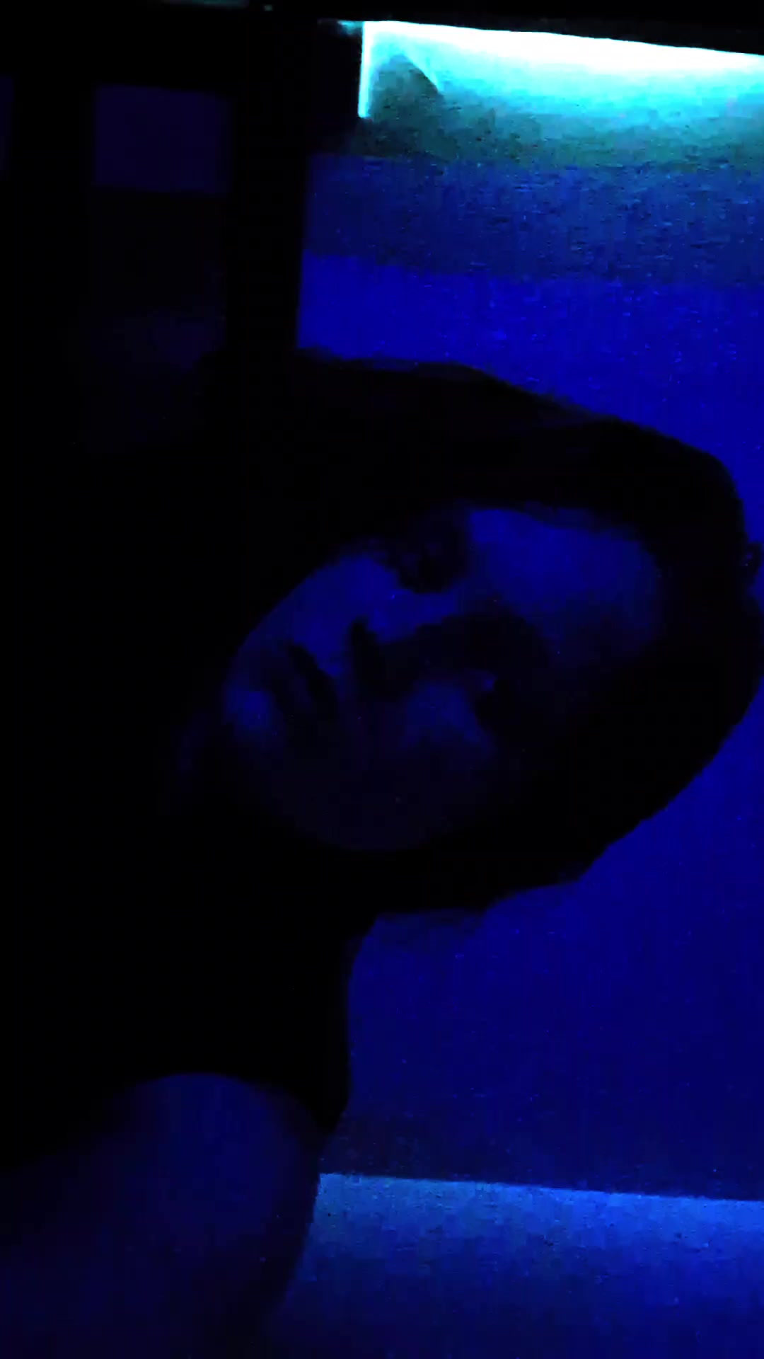 @Blackout_File_Collective
