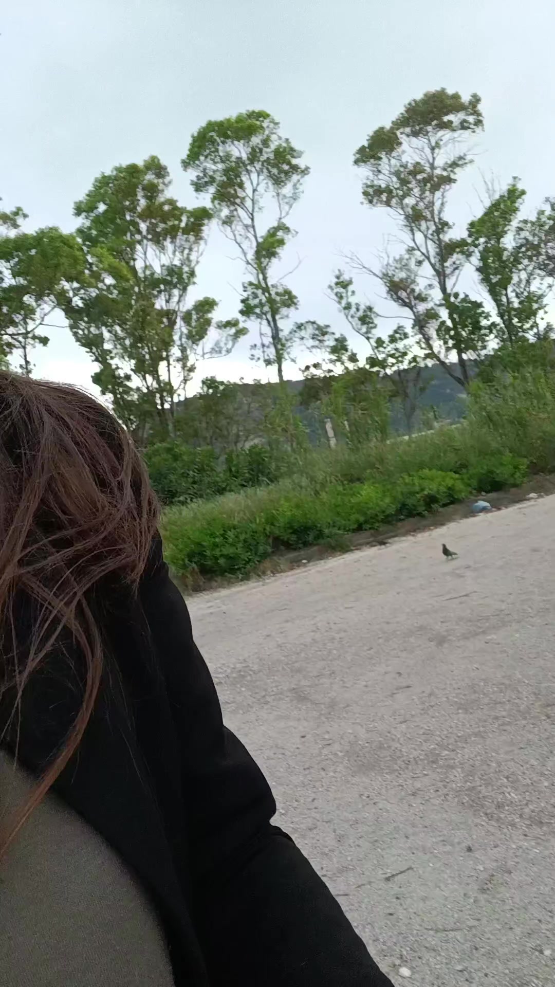 @adrianagirasole