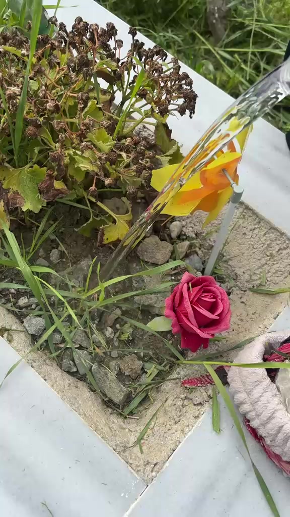 @❣️♾️❣️