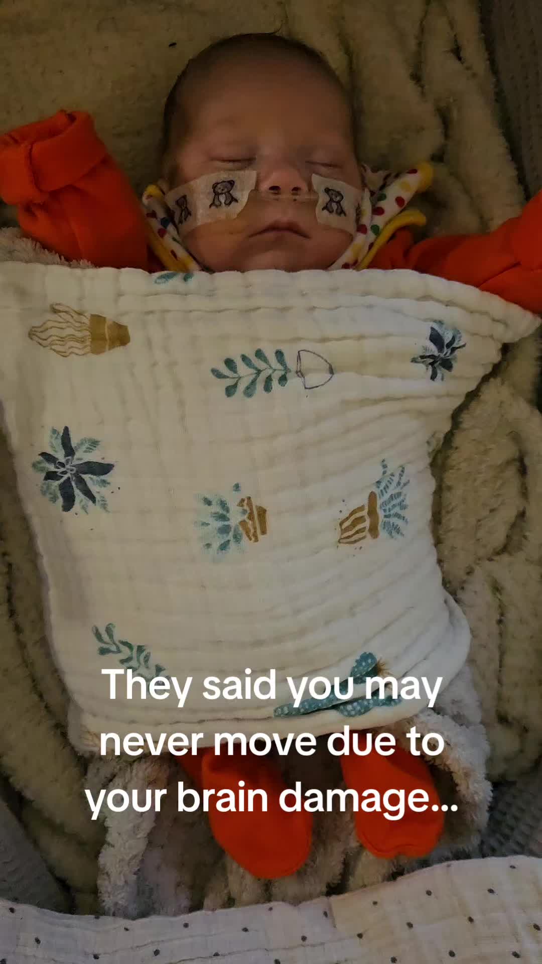 @LoveLilyandArthur
