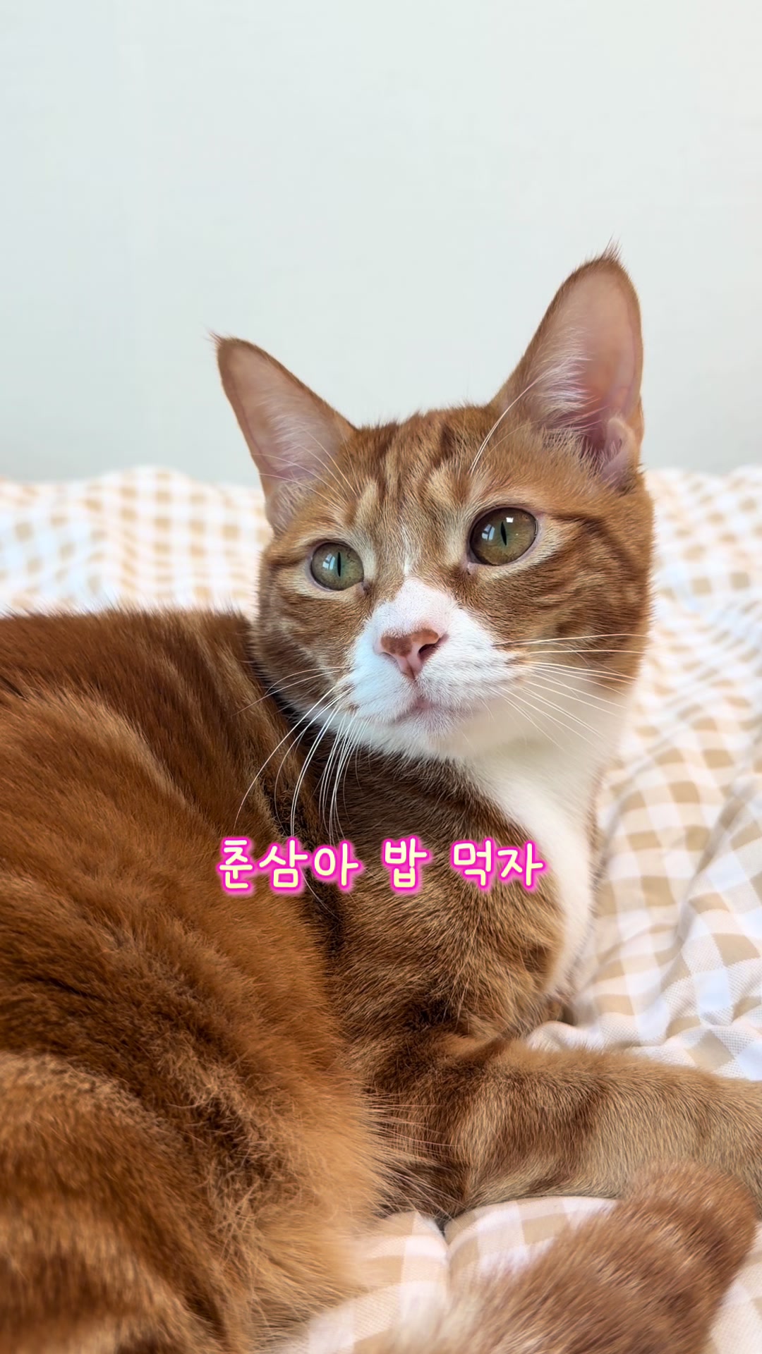 @뮤춘삼