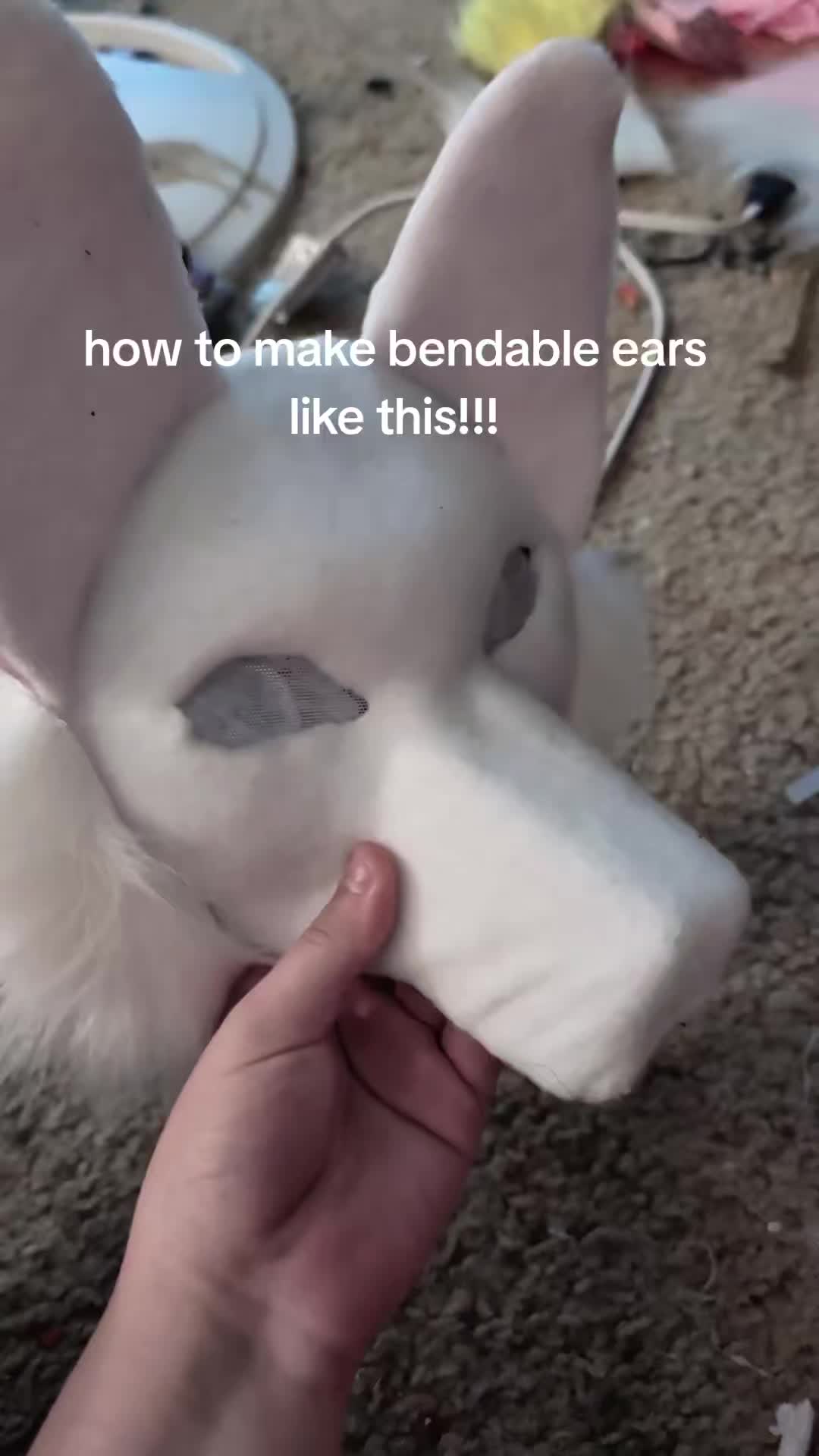 @🐾Sora🦊