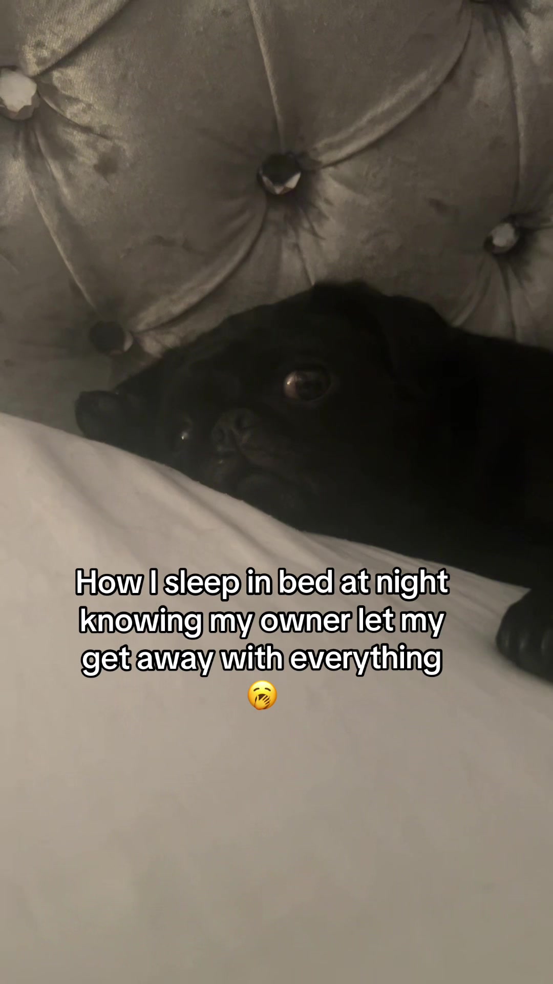 @Zoe ❤️❤️❤️