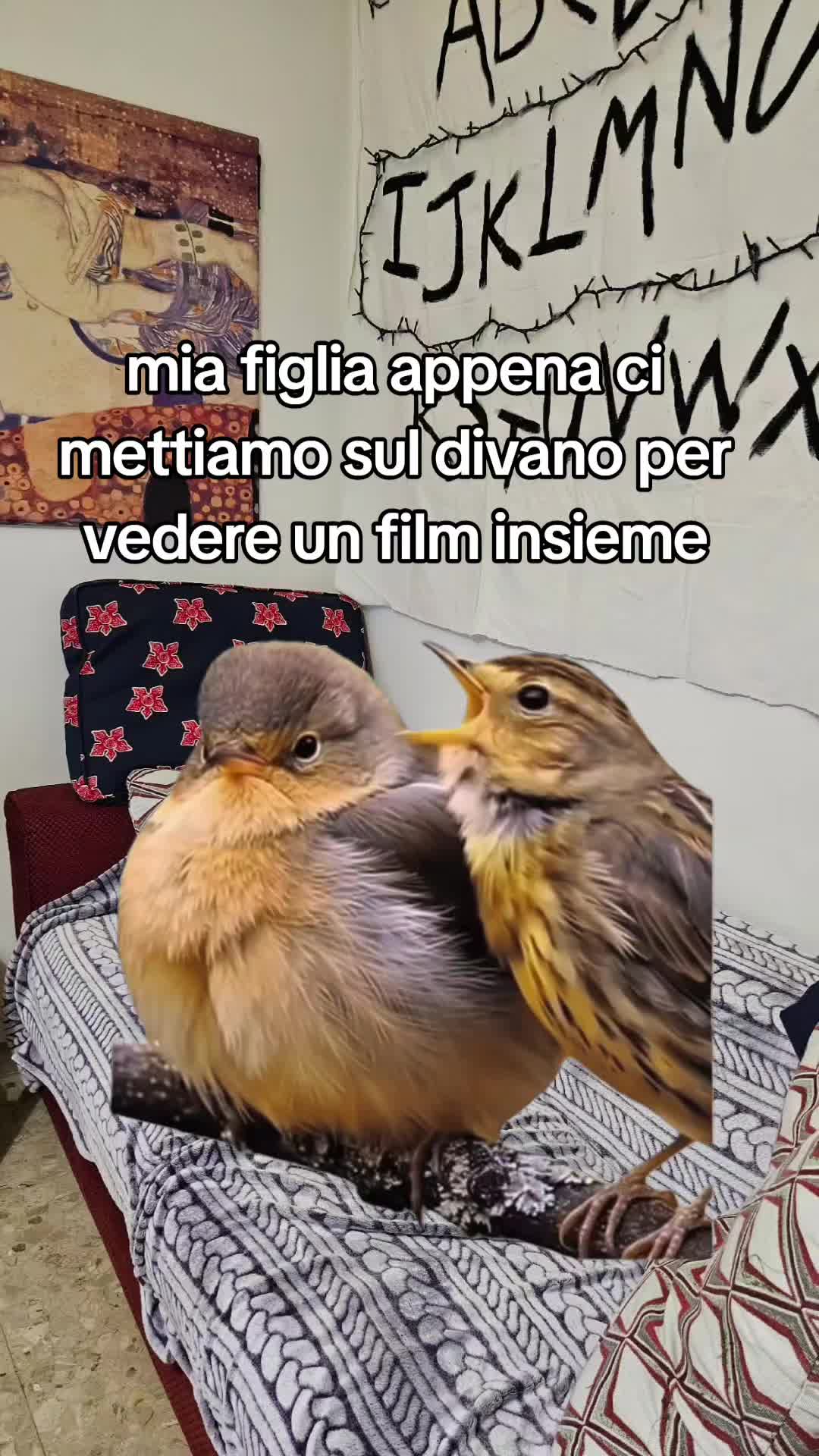 @Chiara Barsi