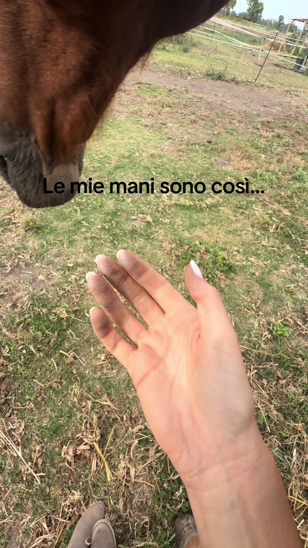 @Saraa