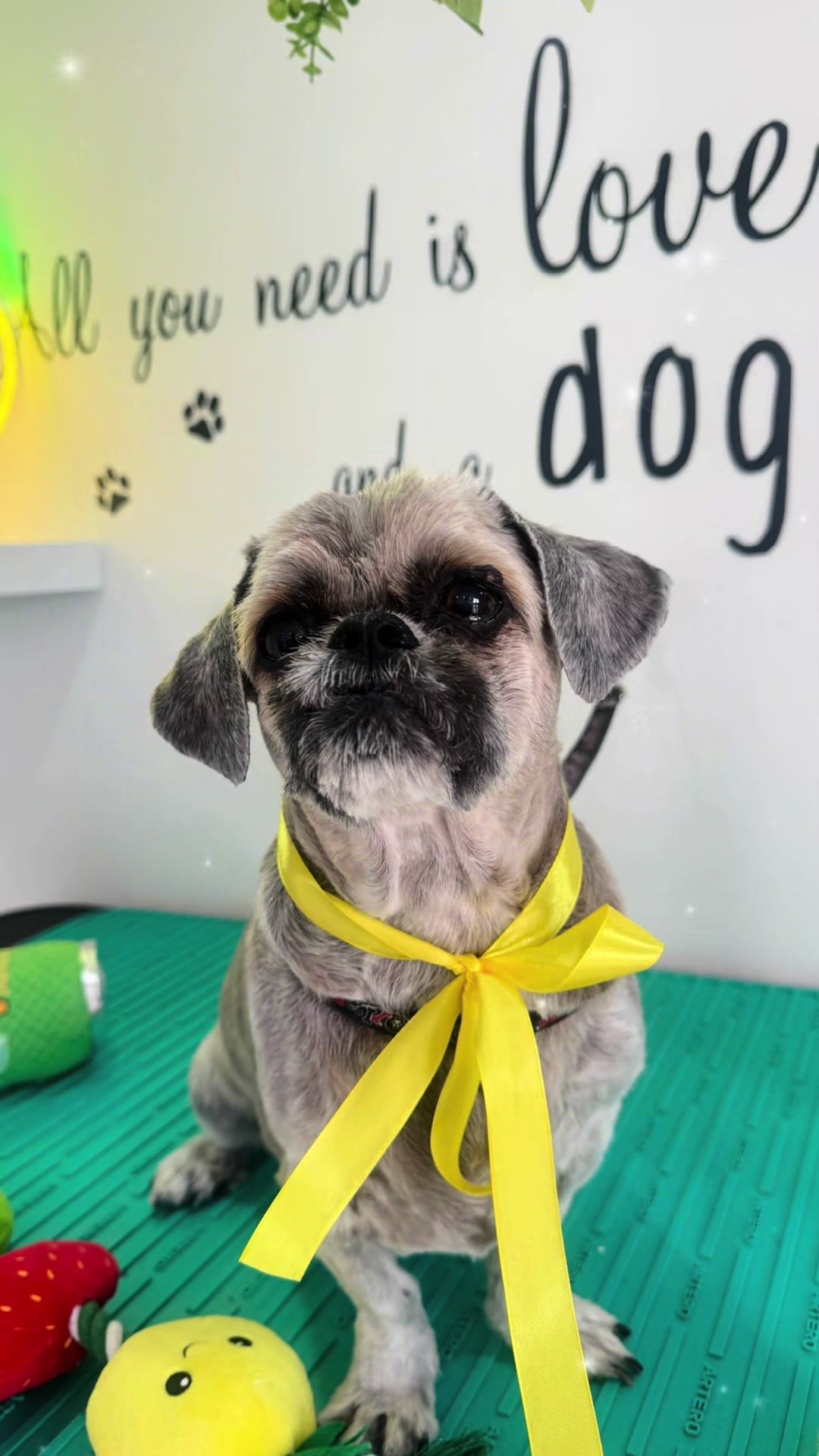 @PamperedPaws