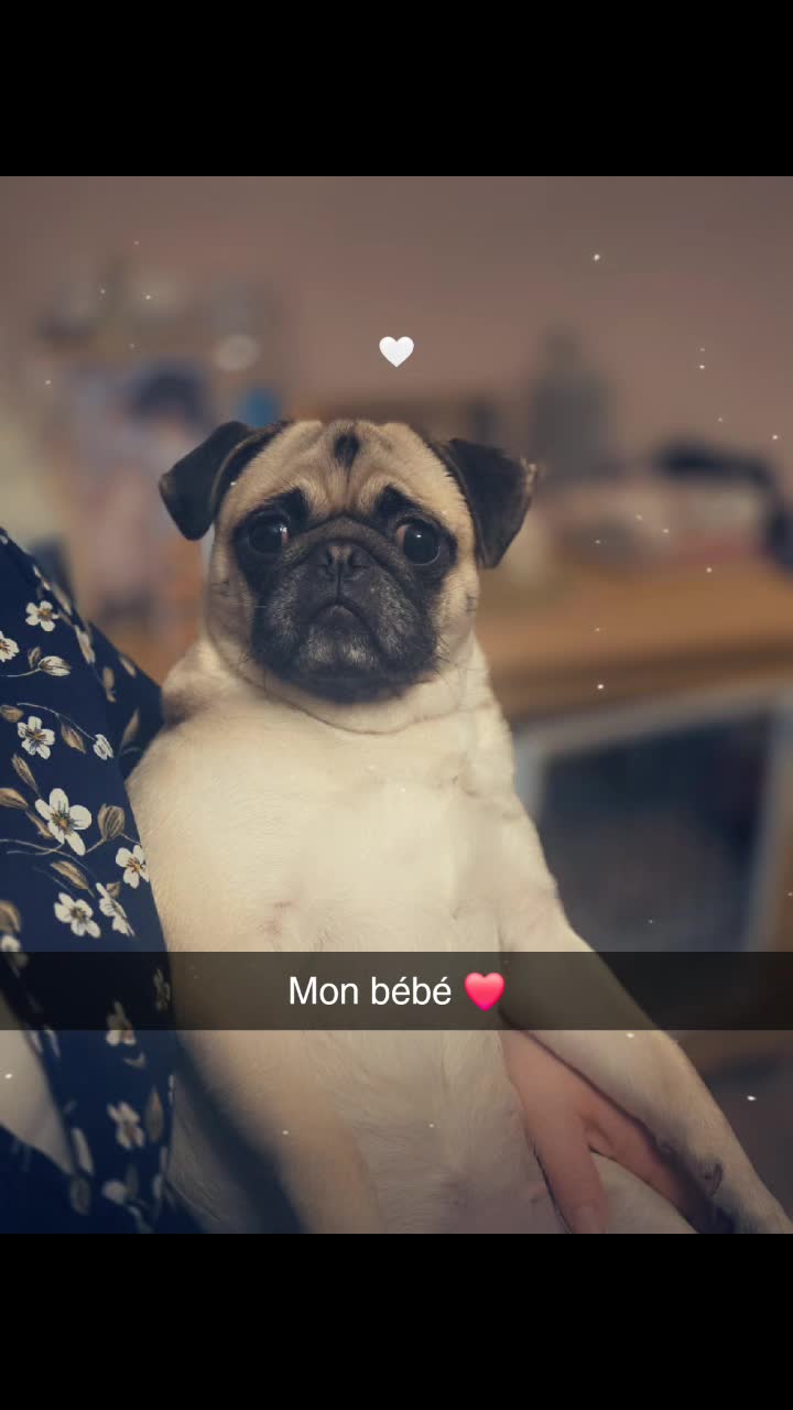 @Princesse-Iris ❤️