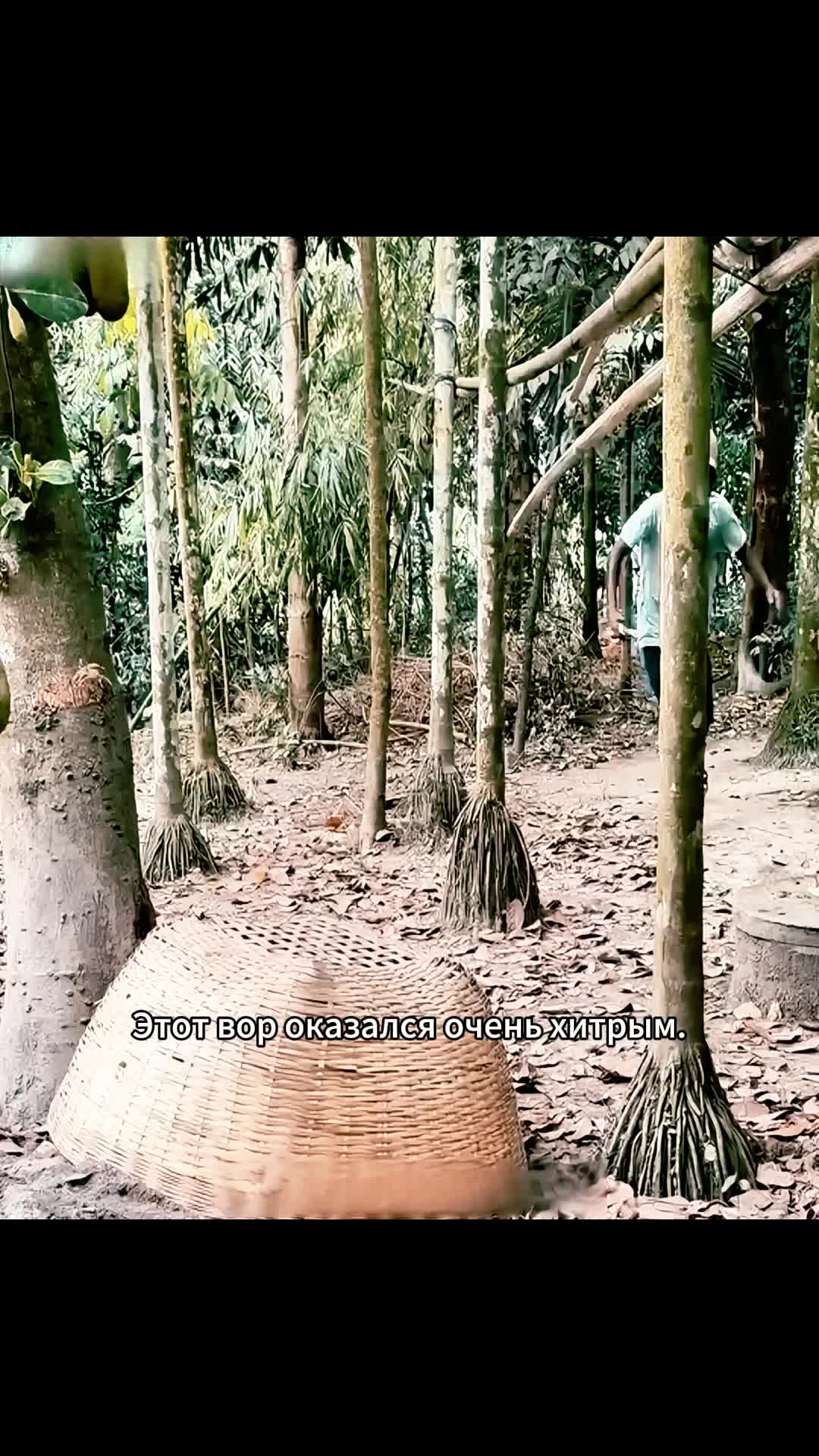 @Yiwhfzhdr023