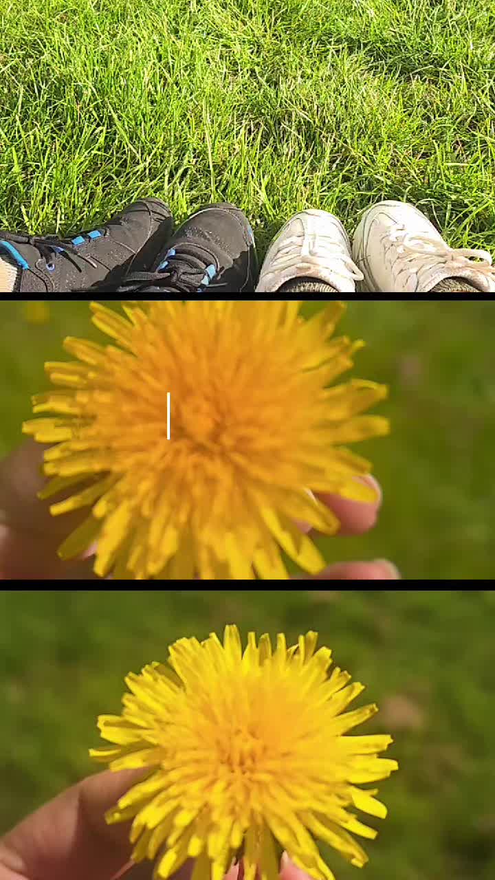 @rijalkops