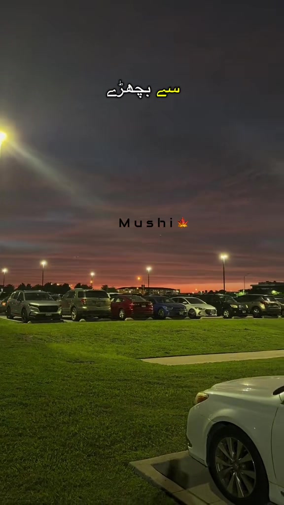@Ayzal🍁Mushi