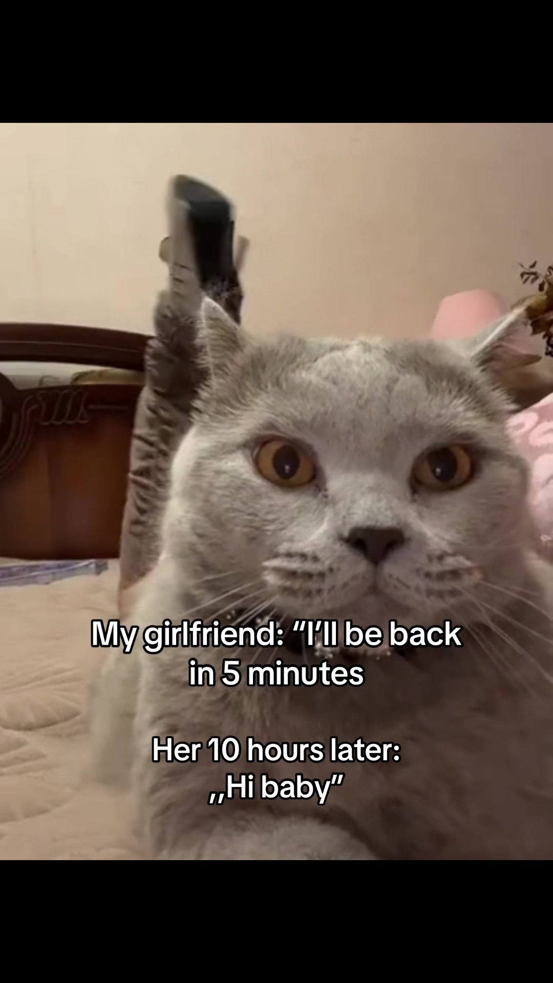 @𝒞𝑜𝒹𝓇𝒾𝓃