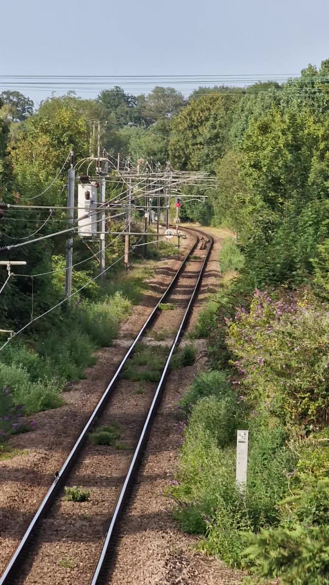 @LynnRailUK