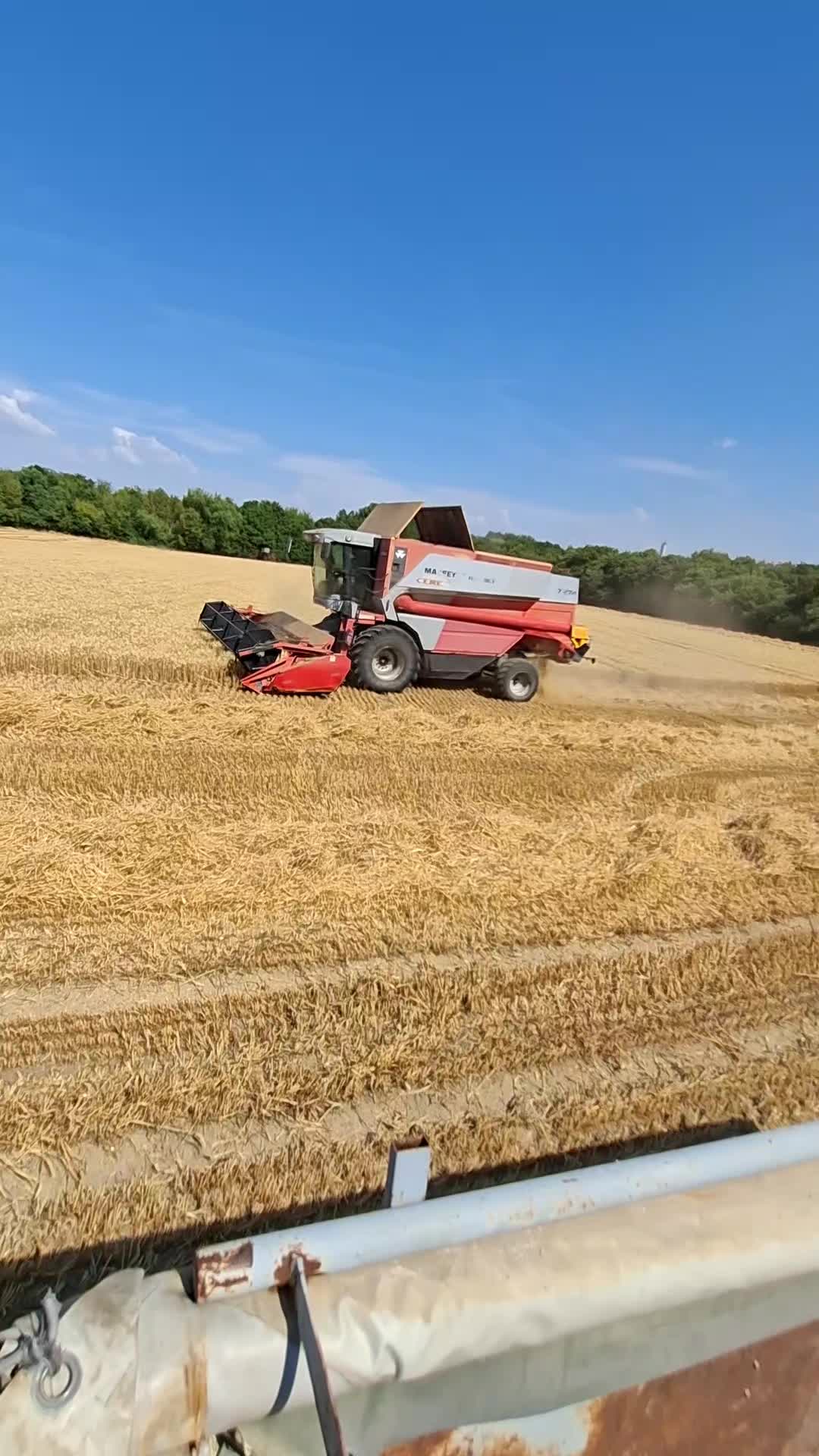@Tamás Szántó