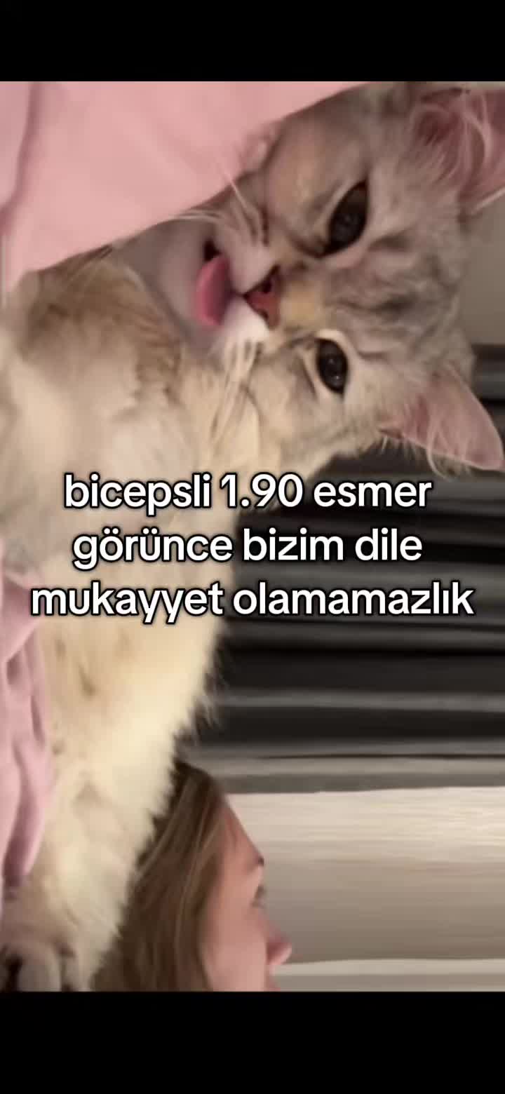 @๐.๐