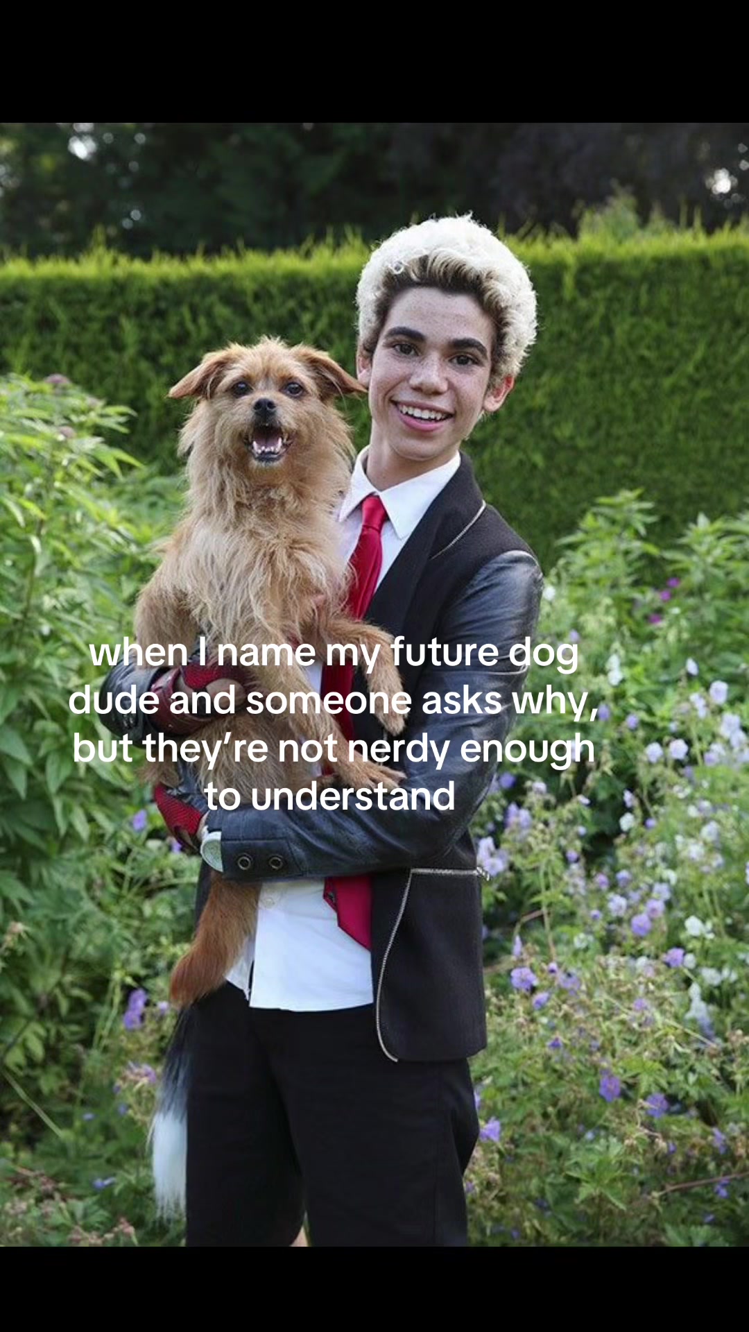 @sd_fangirll