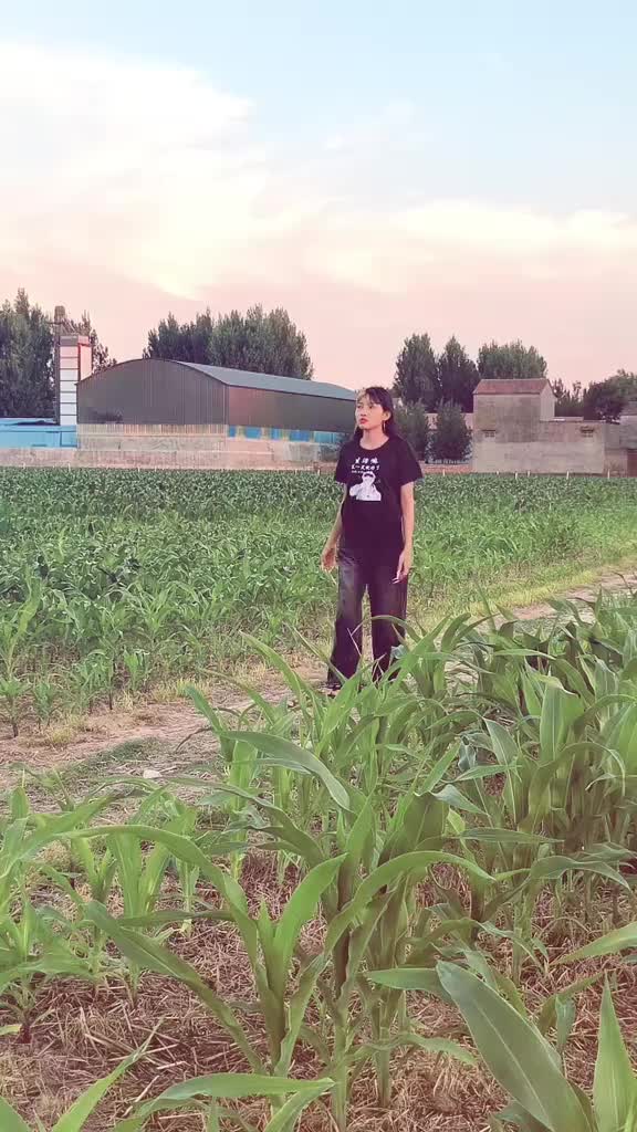 @🖤ဒေါ်တင်ဇာ🖤