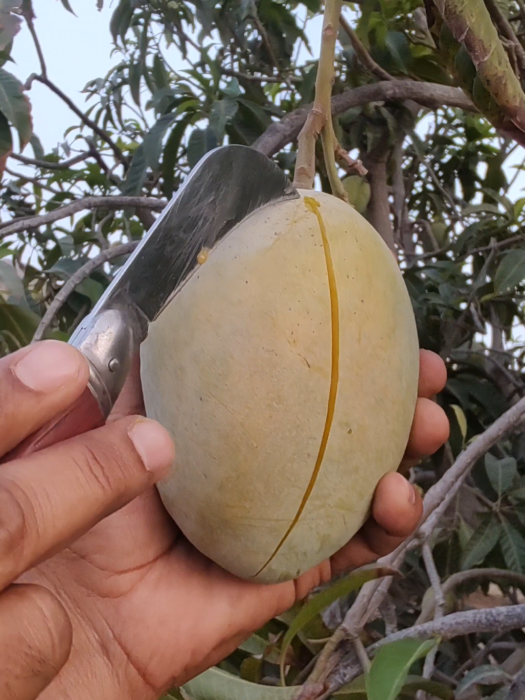 @🇦🇪@UAEFRESH🇦🇪
