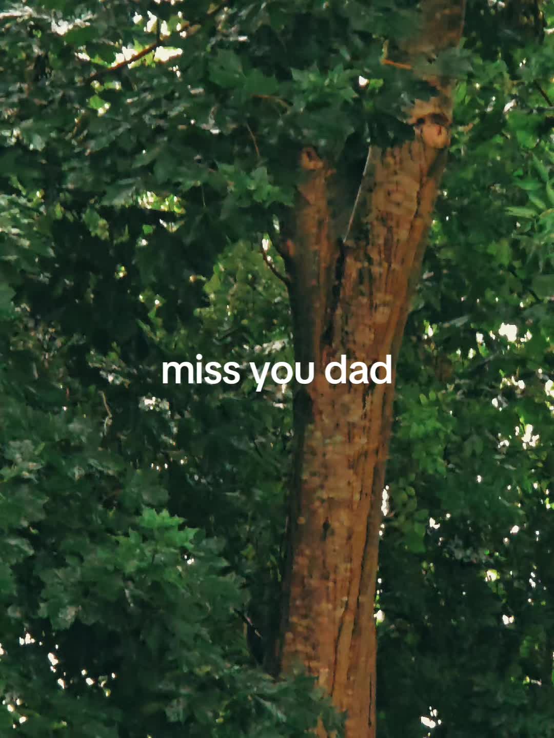 @Dee