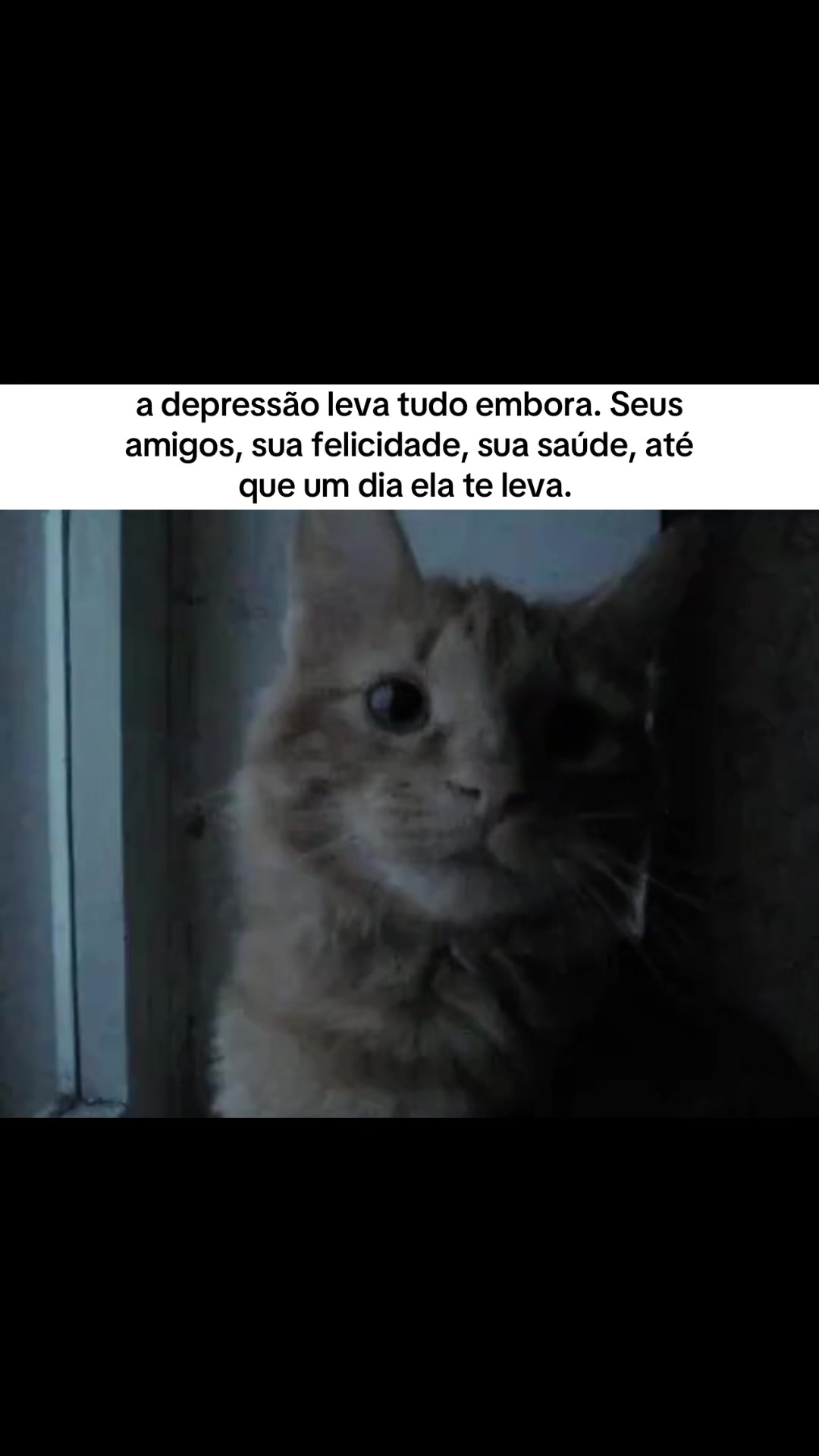 @ℓυᴄคร ᯓ★⁶⁷⁶⁷
