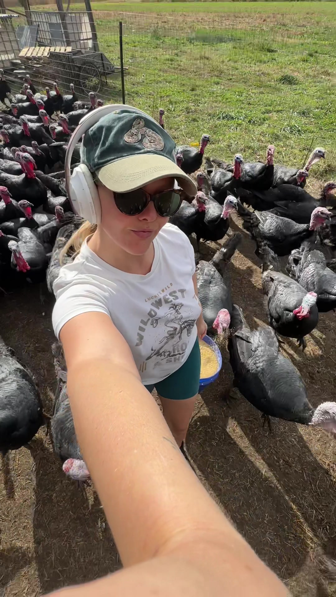 @farmerandtheharpiist