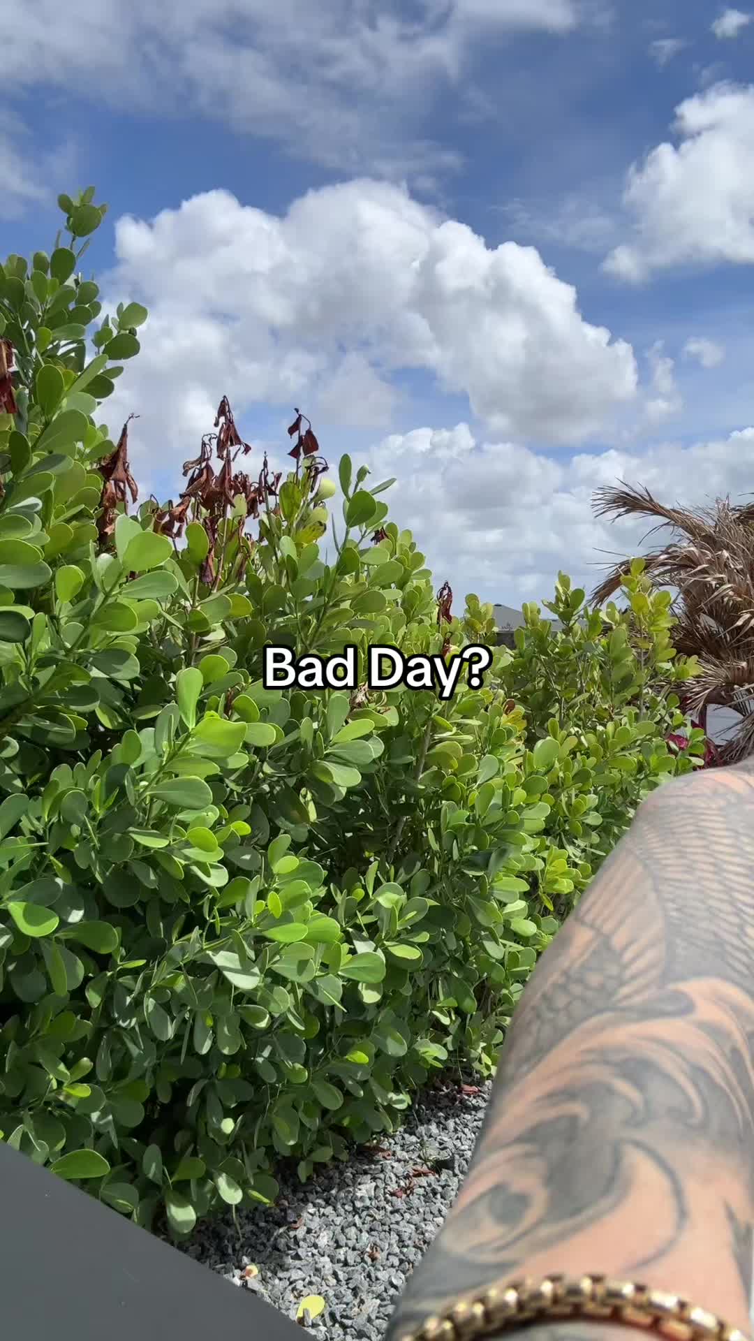 @captainmuscle9555