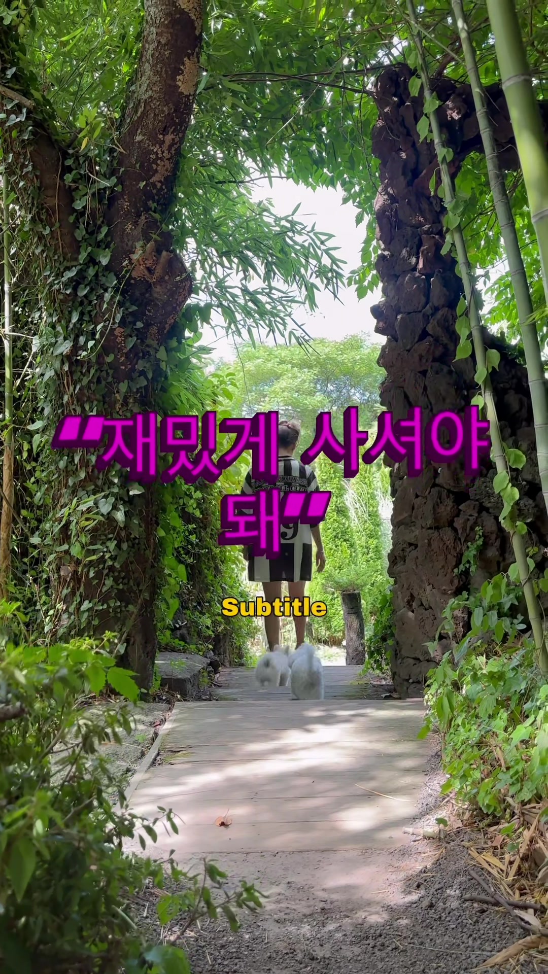 @jeju_kiki