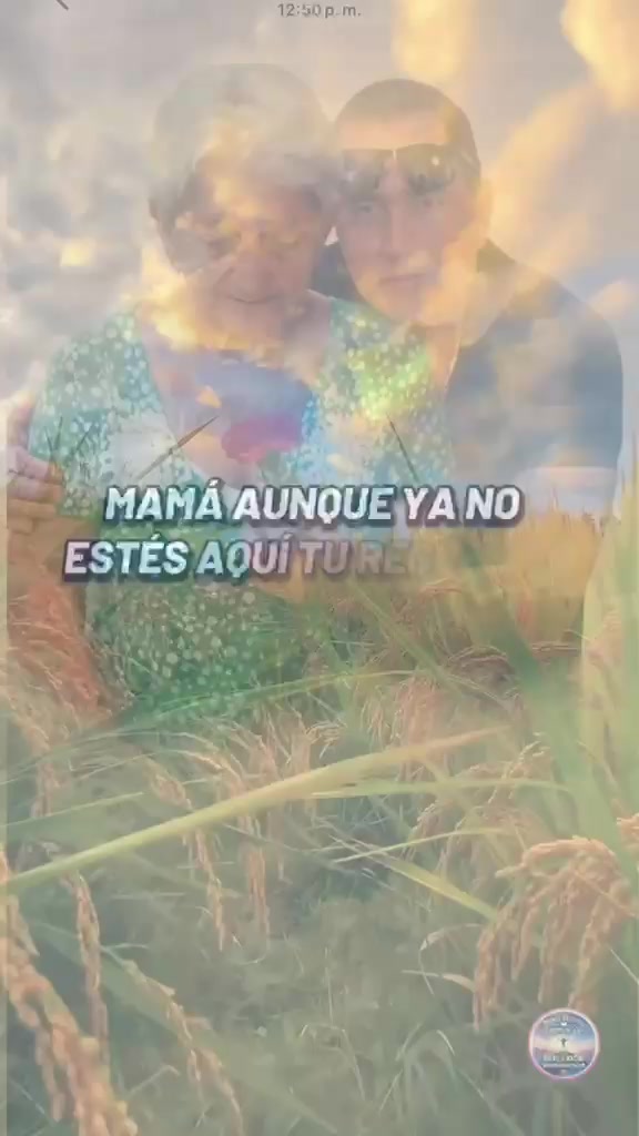 @Aleman.Roly