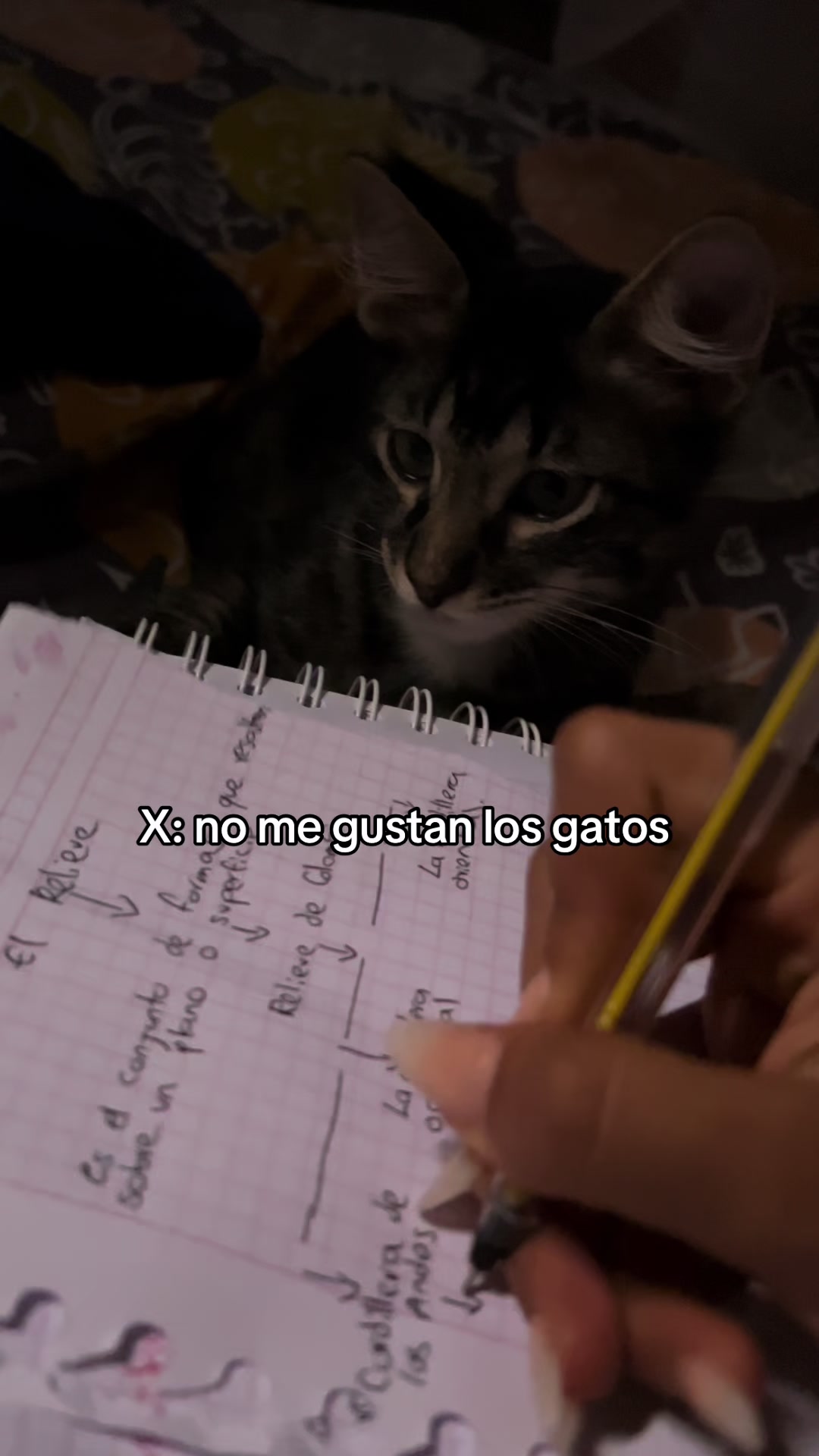 @Soy Zandy 🐍