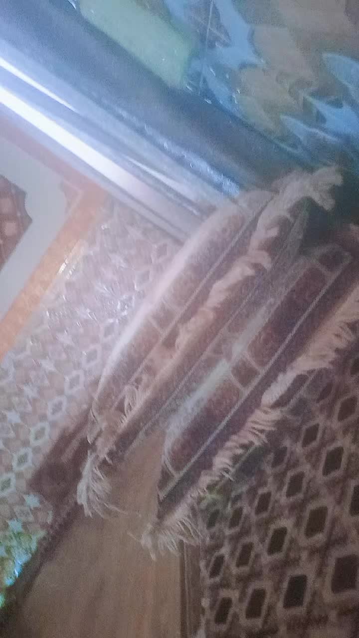 @ننـَووَش:𓆩𝐍