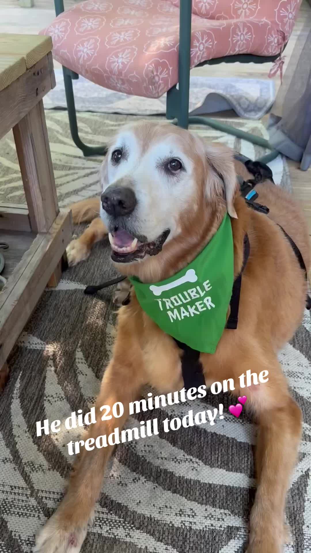 @lifewithduke2025