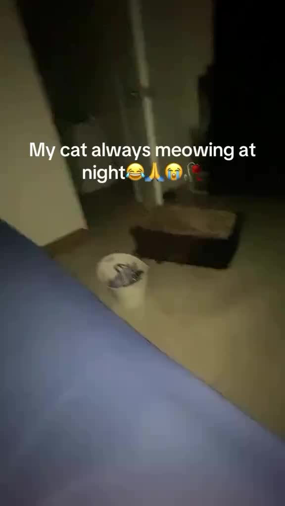 @memes_alive
