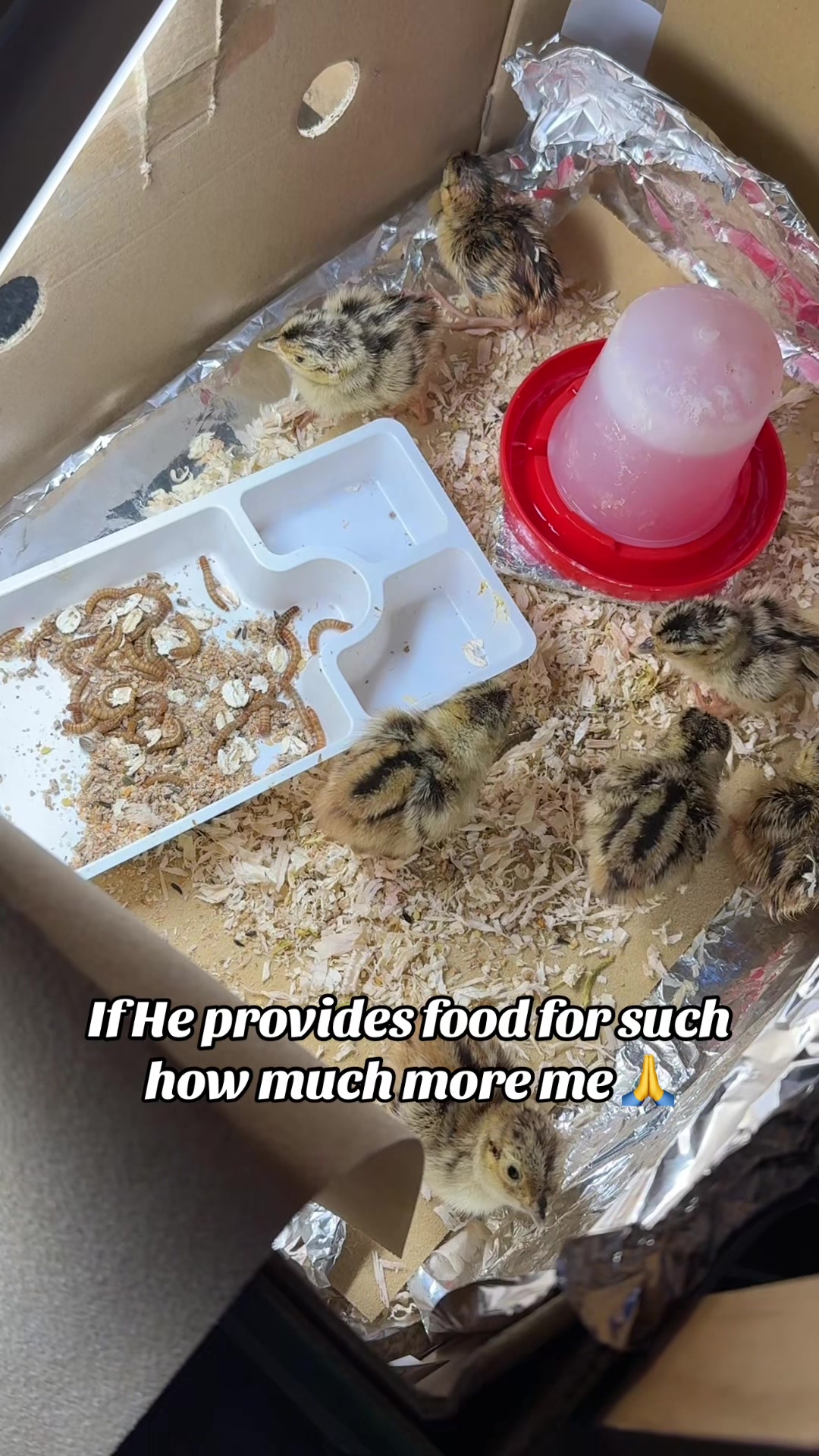 @I am Isaac🖤🇯🇲♎️🇬🇧