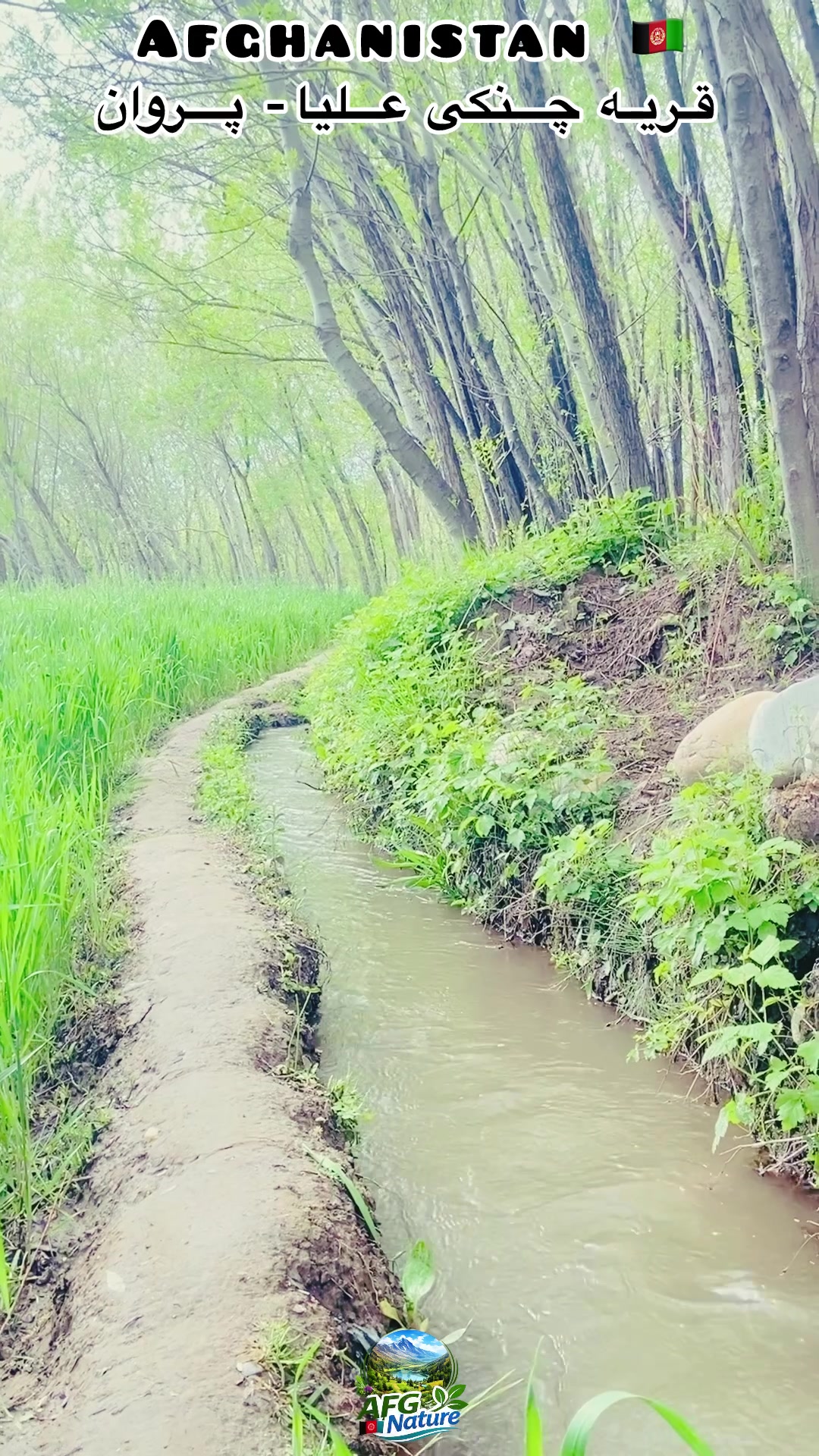 @Afghanistan Nature 🇦🇫