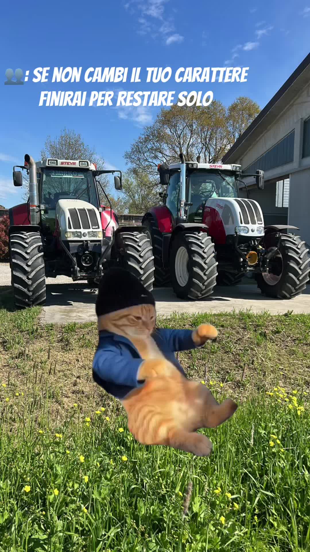 @Mirko Farmer